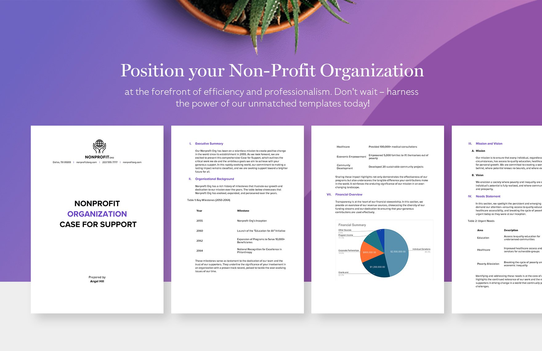 Nonprofit Organization Case for Support Template
