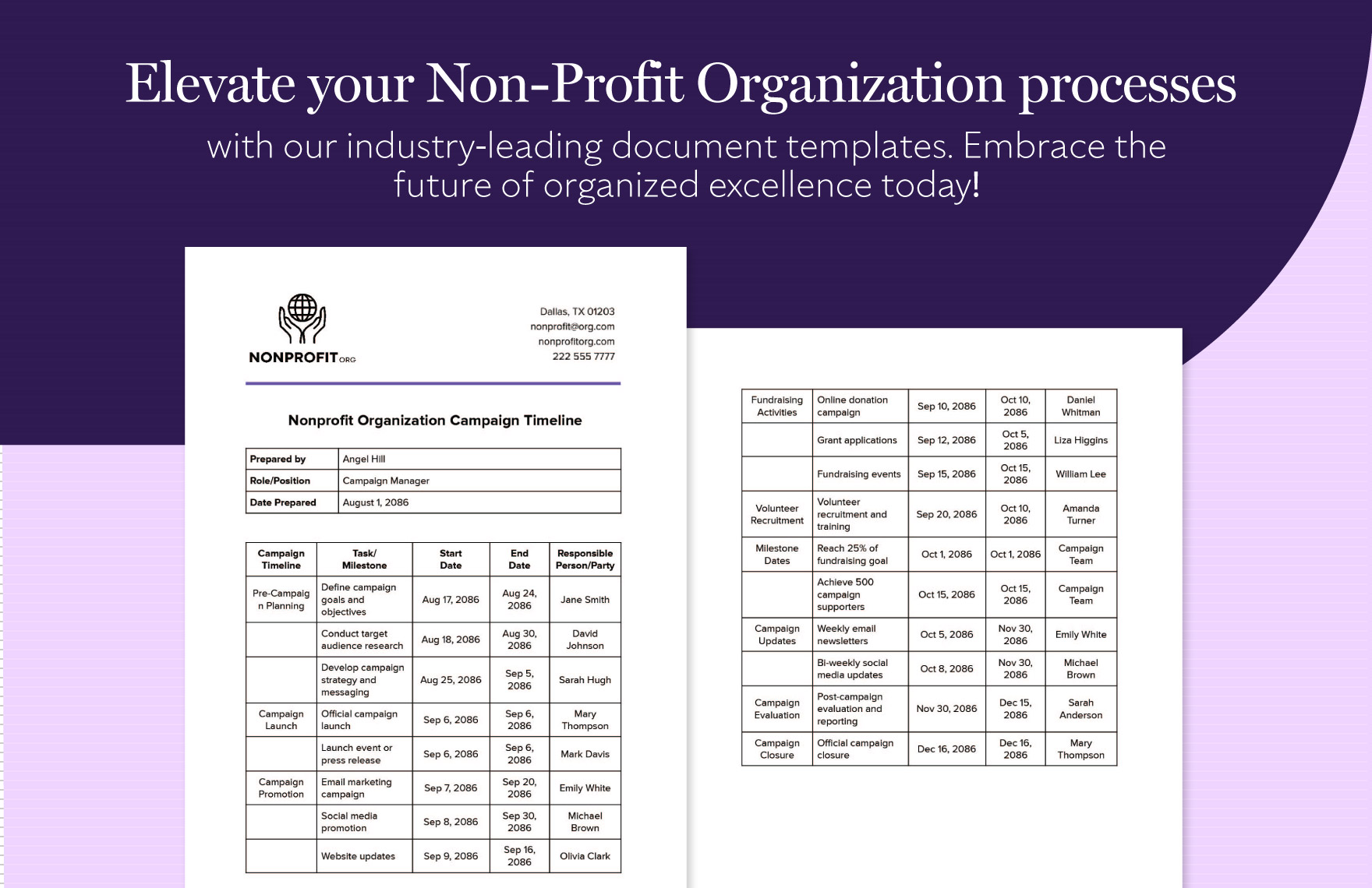 Nonprofit Organization Campaign Timeline Template