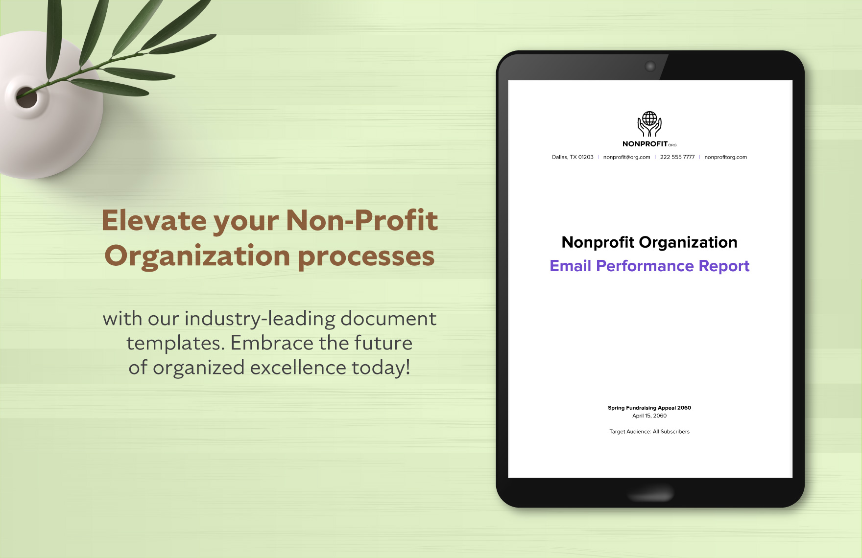 Nonprofit Organization Email Performance Report Template
