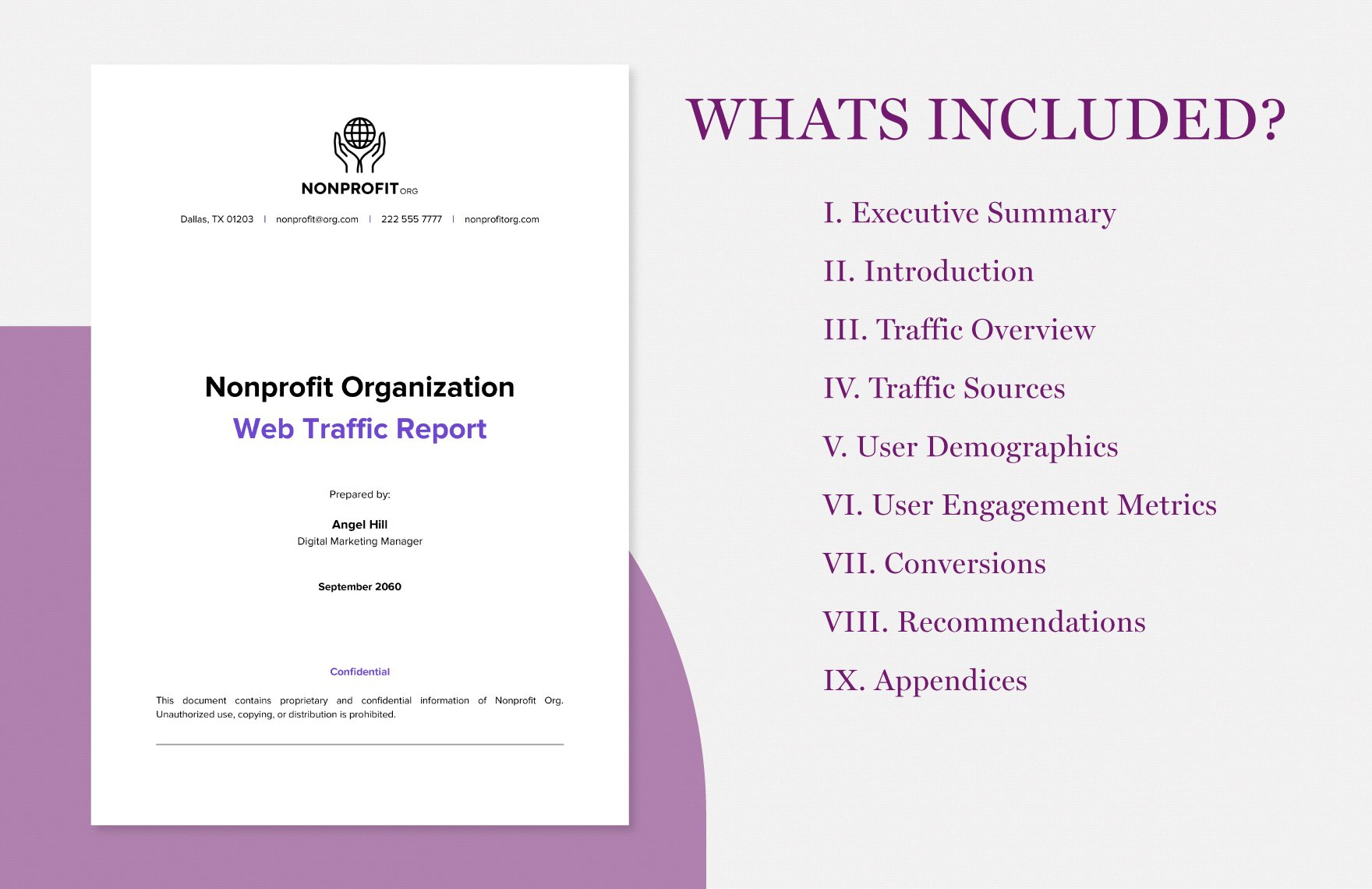 Nonprofit Organization Web Traffic Report Template