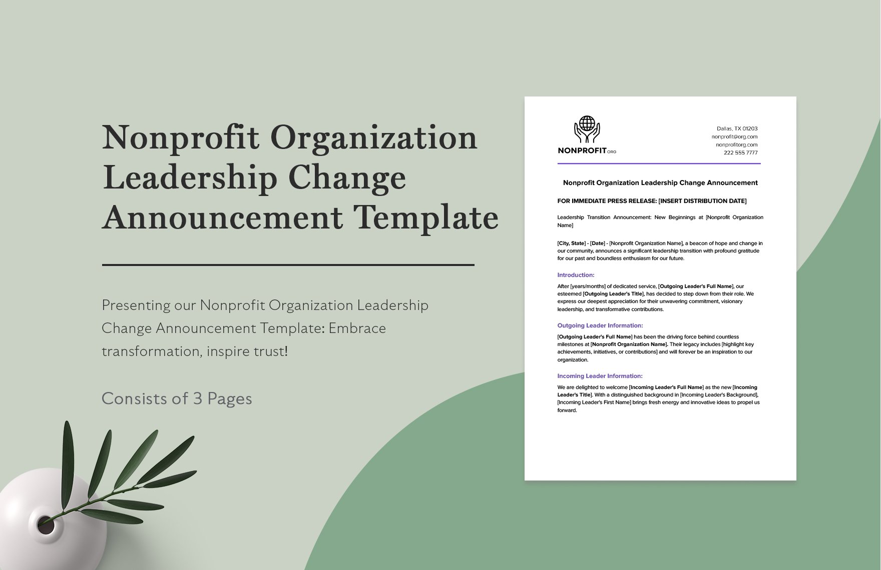 Nonprofit Organization Leadership Change Announcement Template