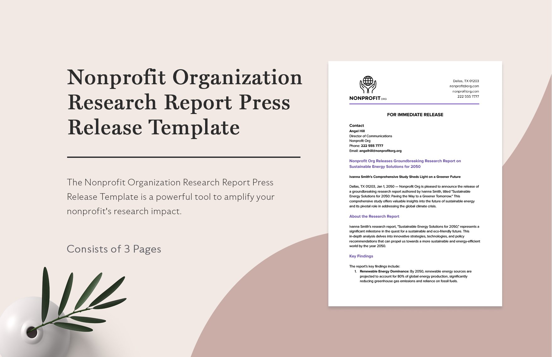 Nonprofit Organization Research Report Press Release Template