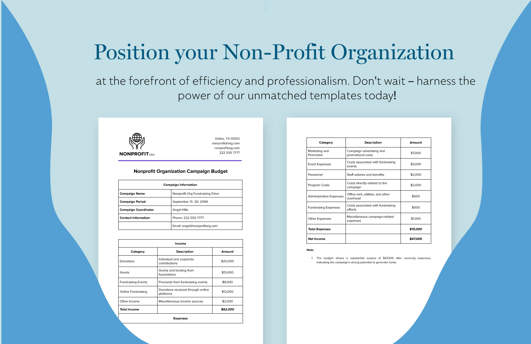 Nonprofit Organization Campaign Budget Template