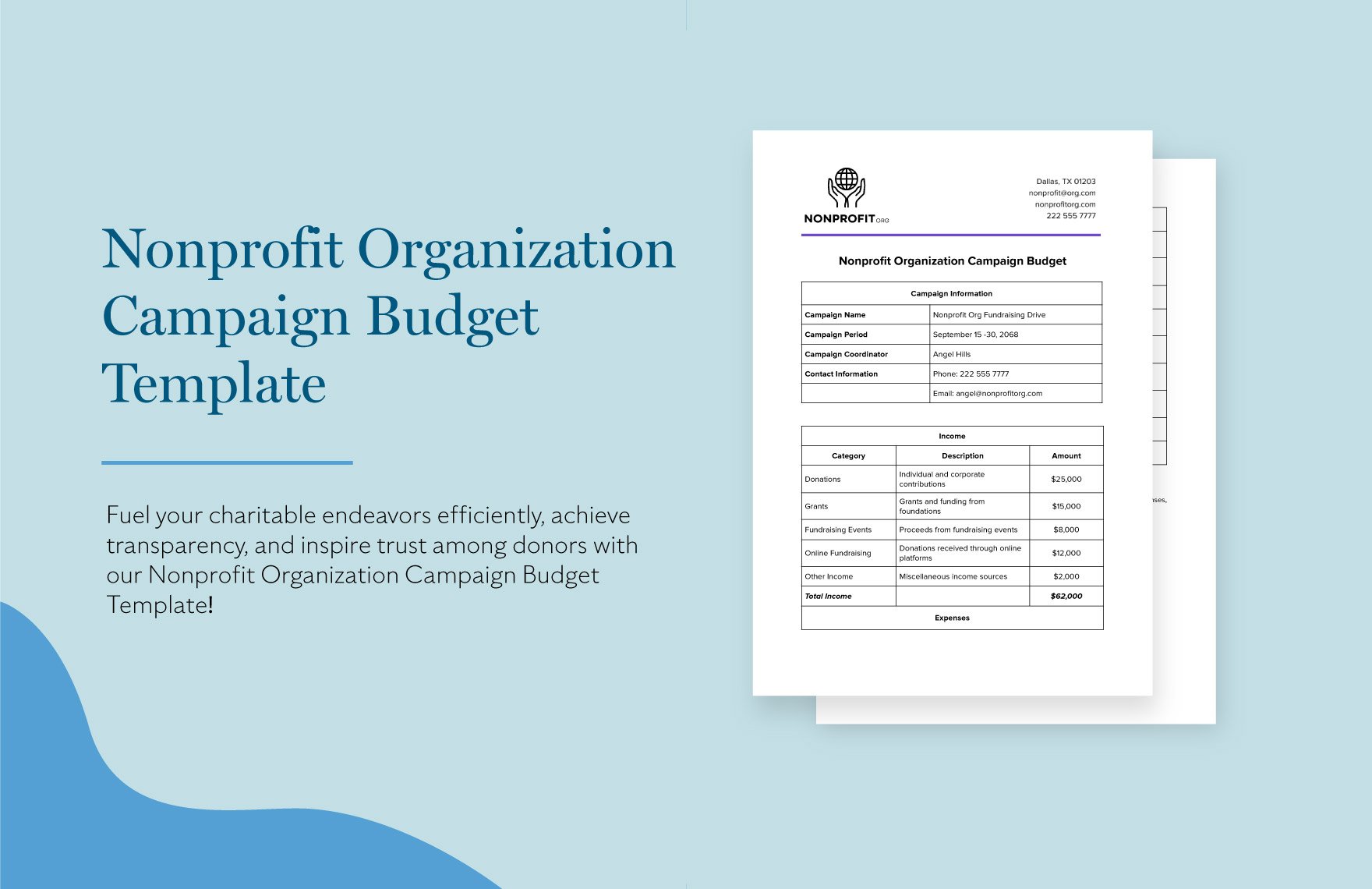 Nonprofit Organization Campaign Budget Template