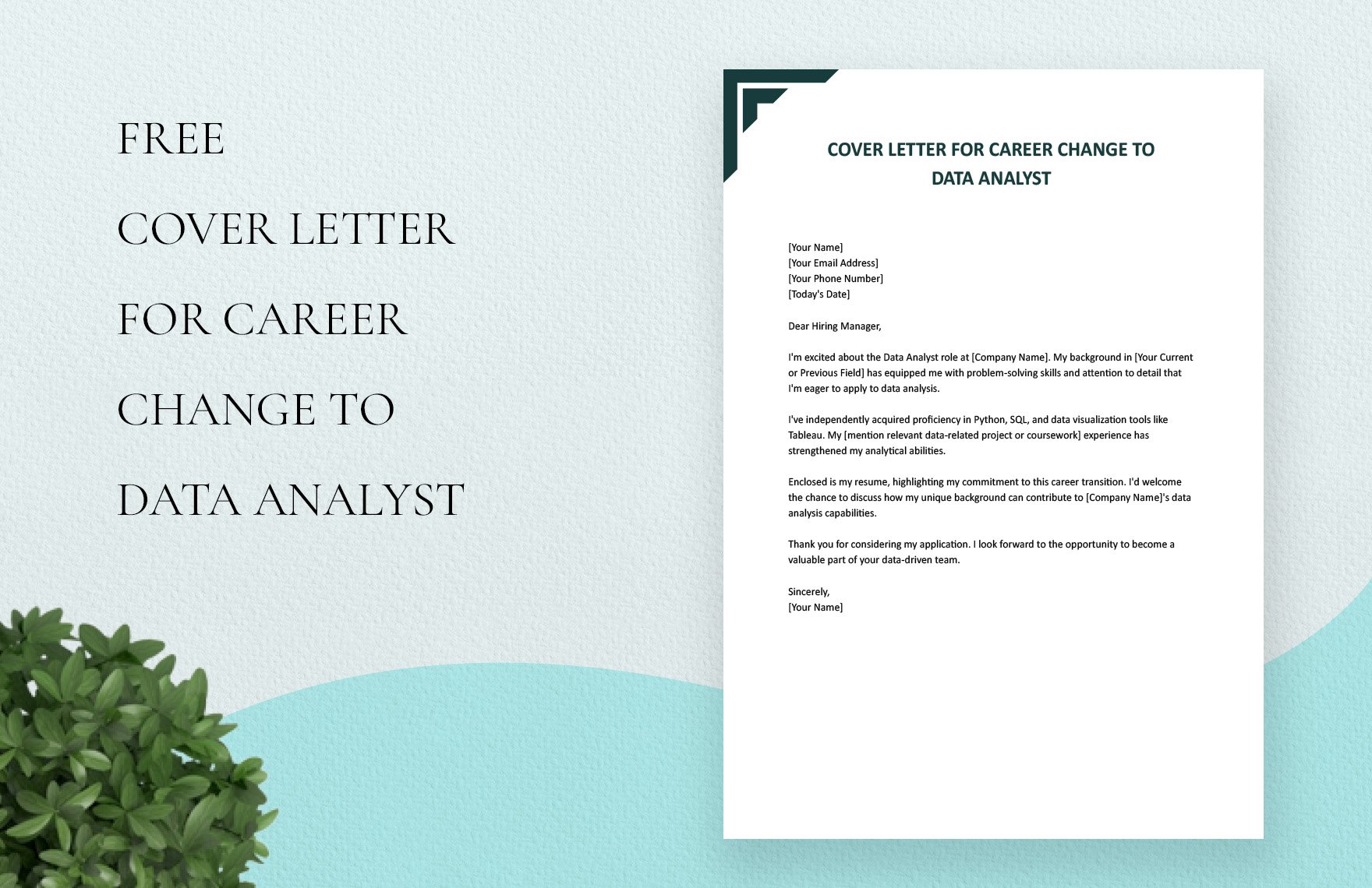 Cover Letter For Career Change To Data Analyst