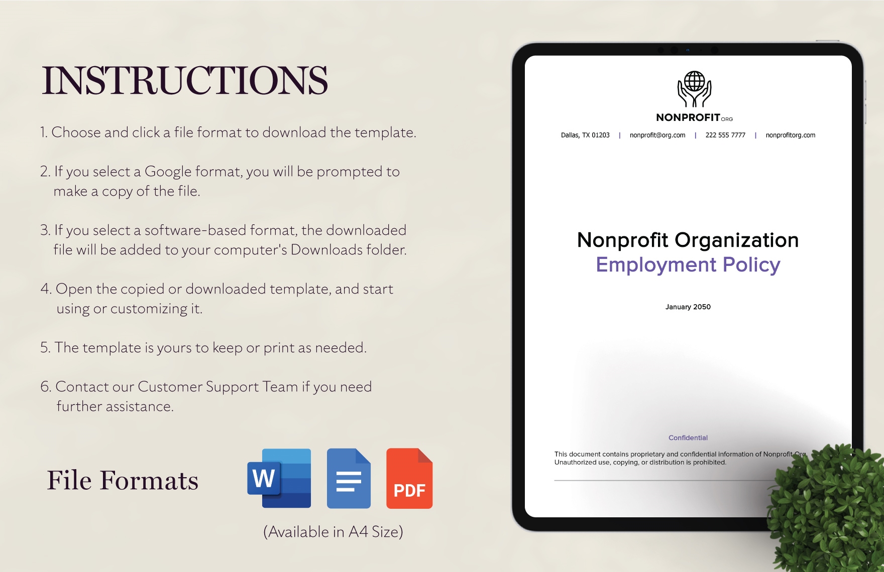 Nonprofit Organization Employment Policy Template
