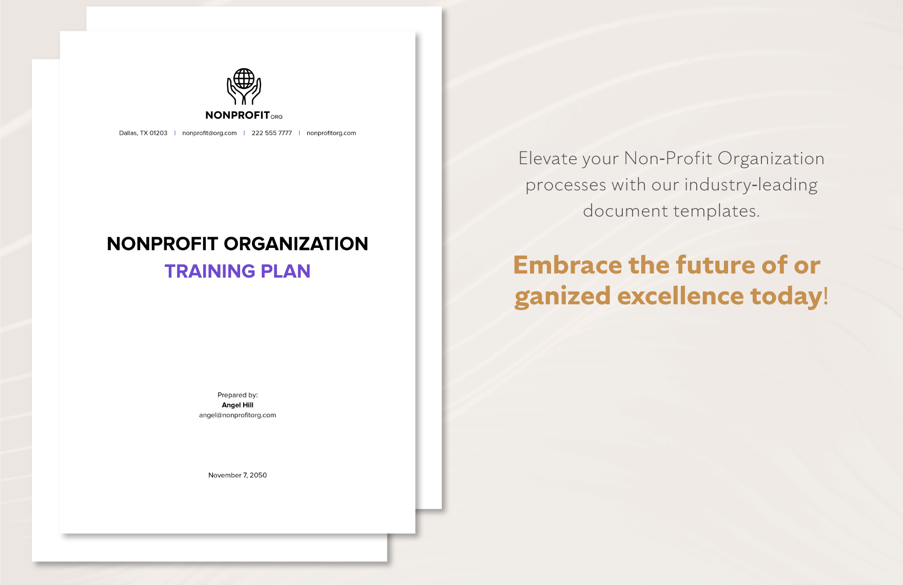 Nonprofit Organization Training Plan Template