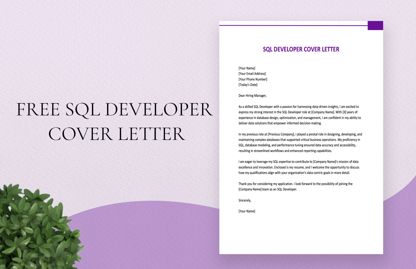 SQL Developer Cover Letter
