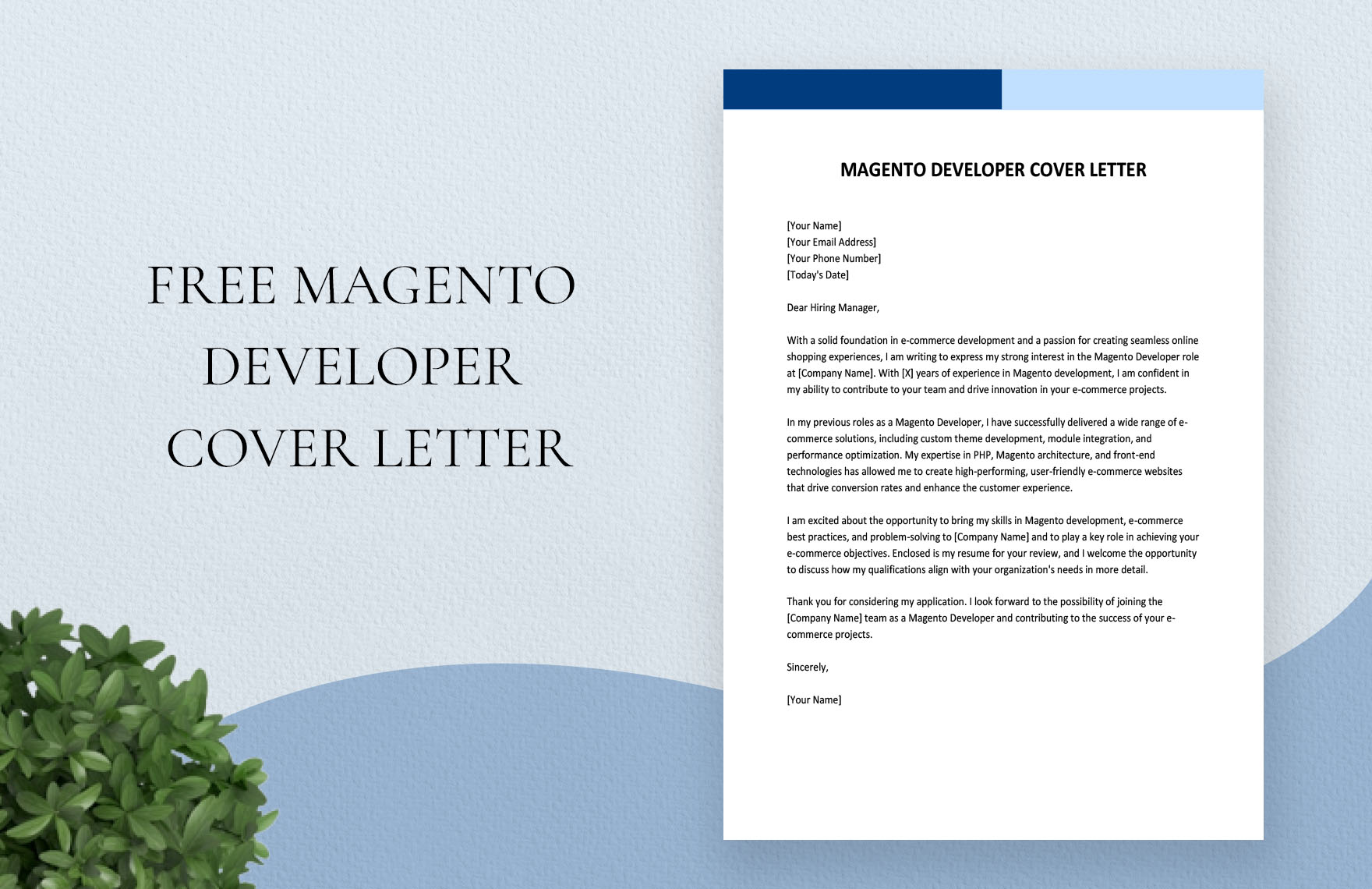 cover letter for magento developer