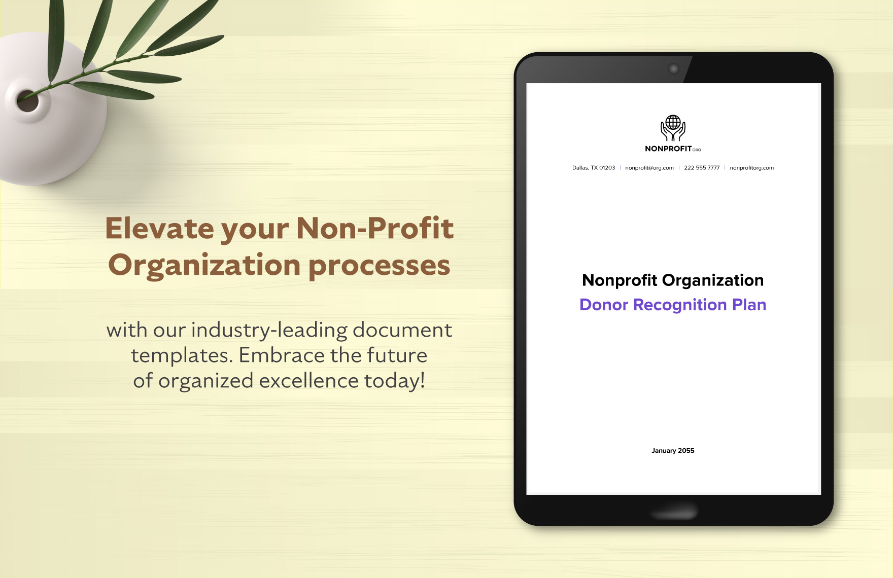 Nonprofit Organization Donor Recognition Plan Template