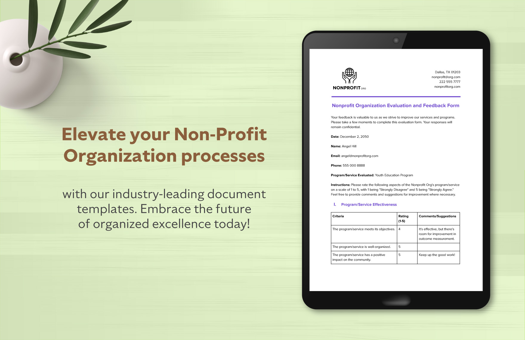 Nonprofit Organization Evaluation and Feedback Form Template
