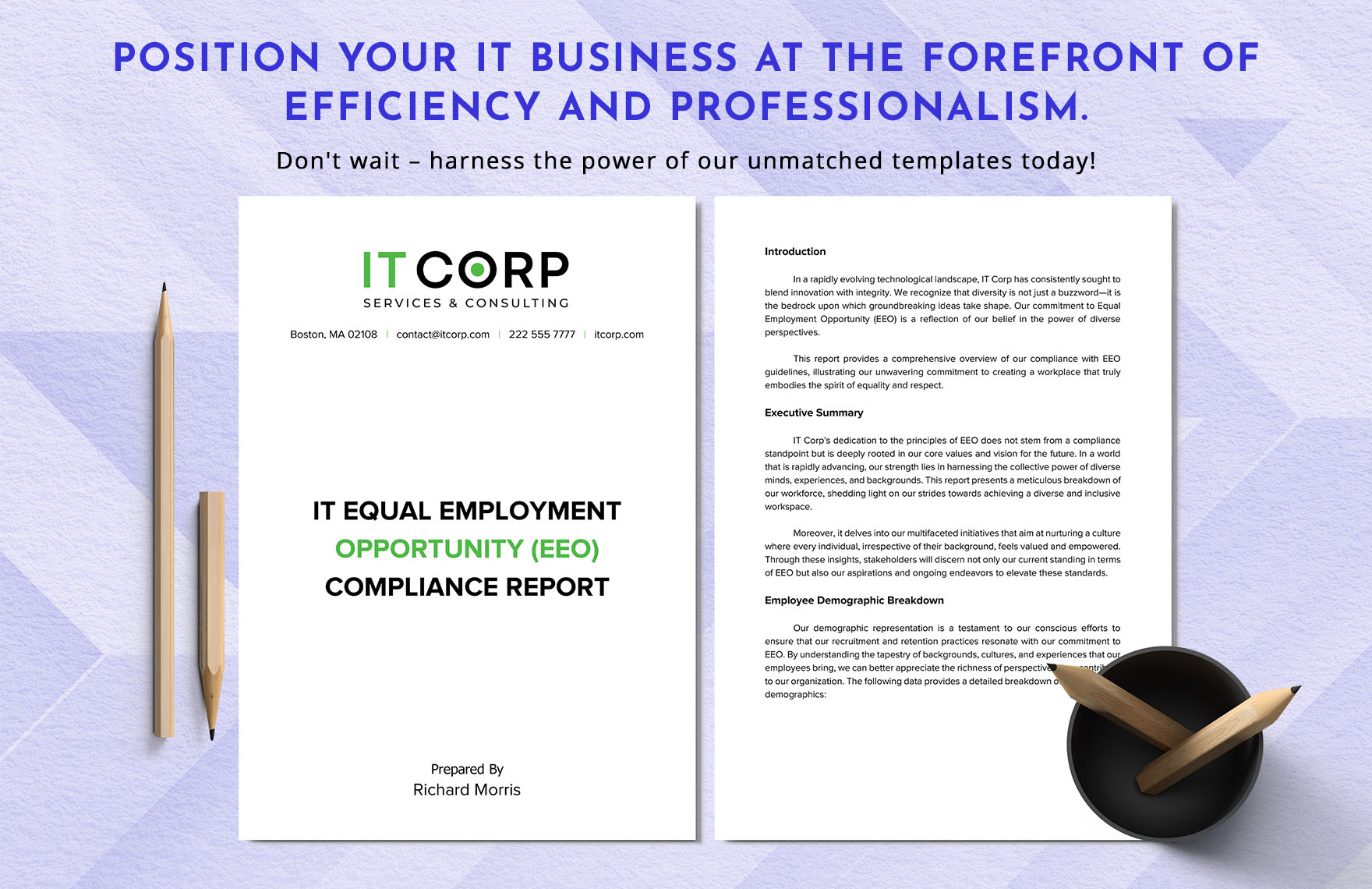 IT Equal Employment Opportunity EEO Compliance Report Template