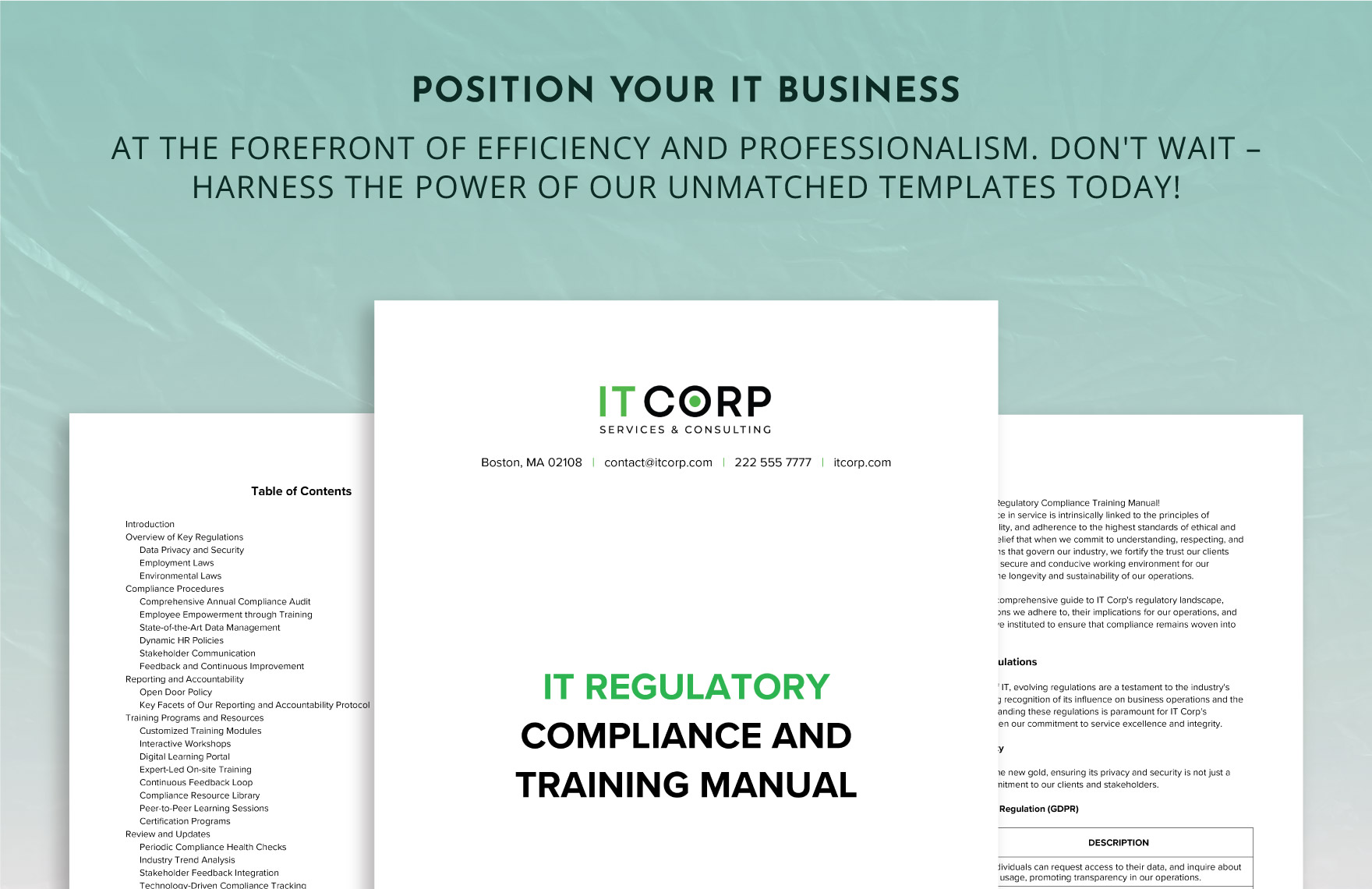IT Regulatory Compliance Training Manual Template