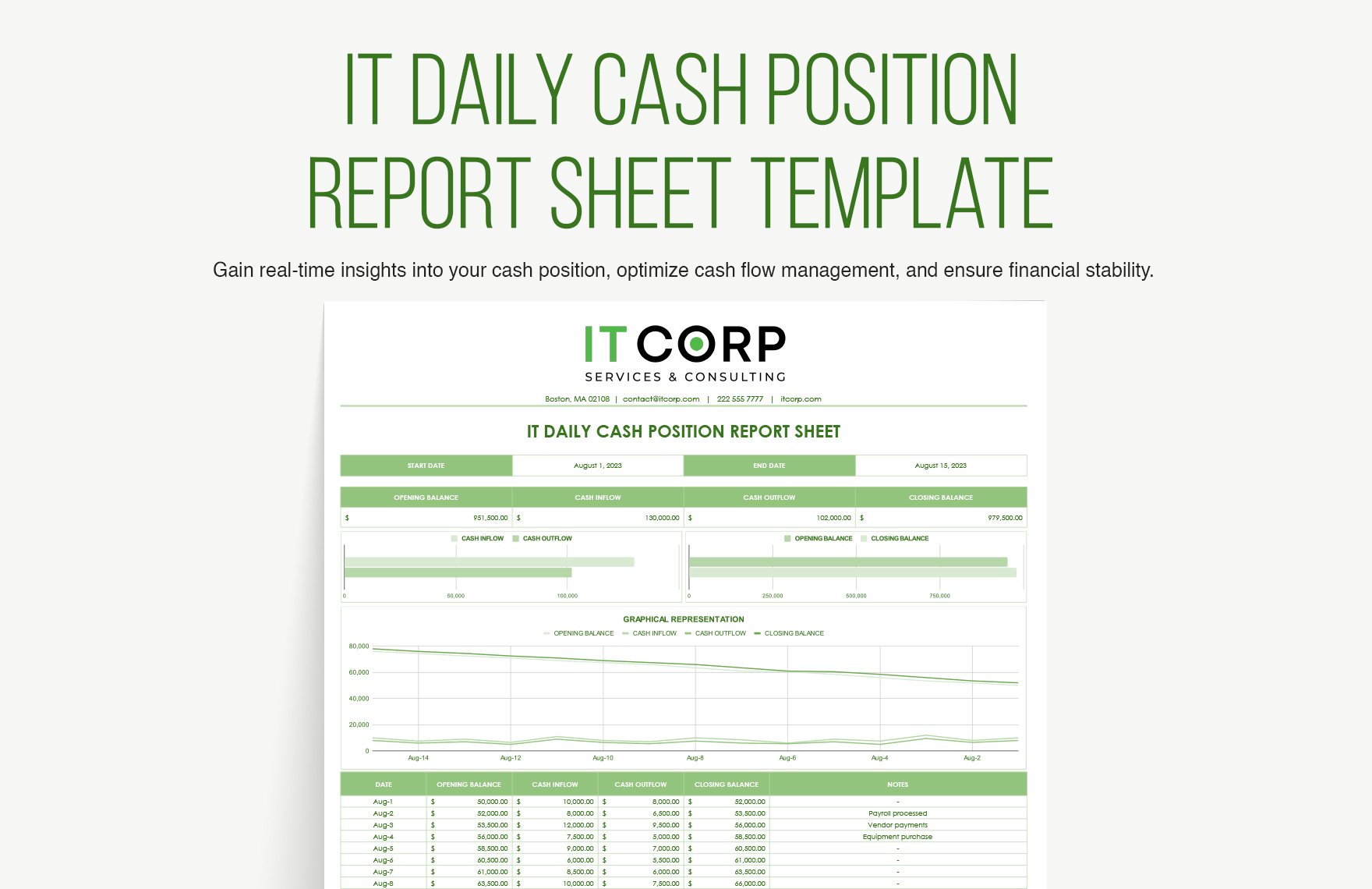 IT Daily Cash Position Report Sheet Template