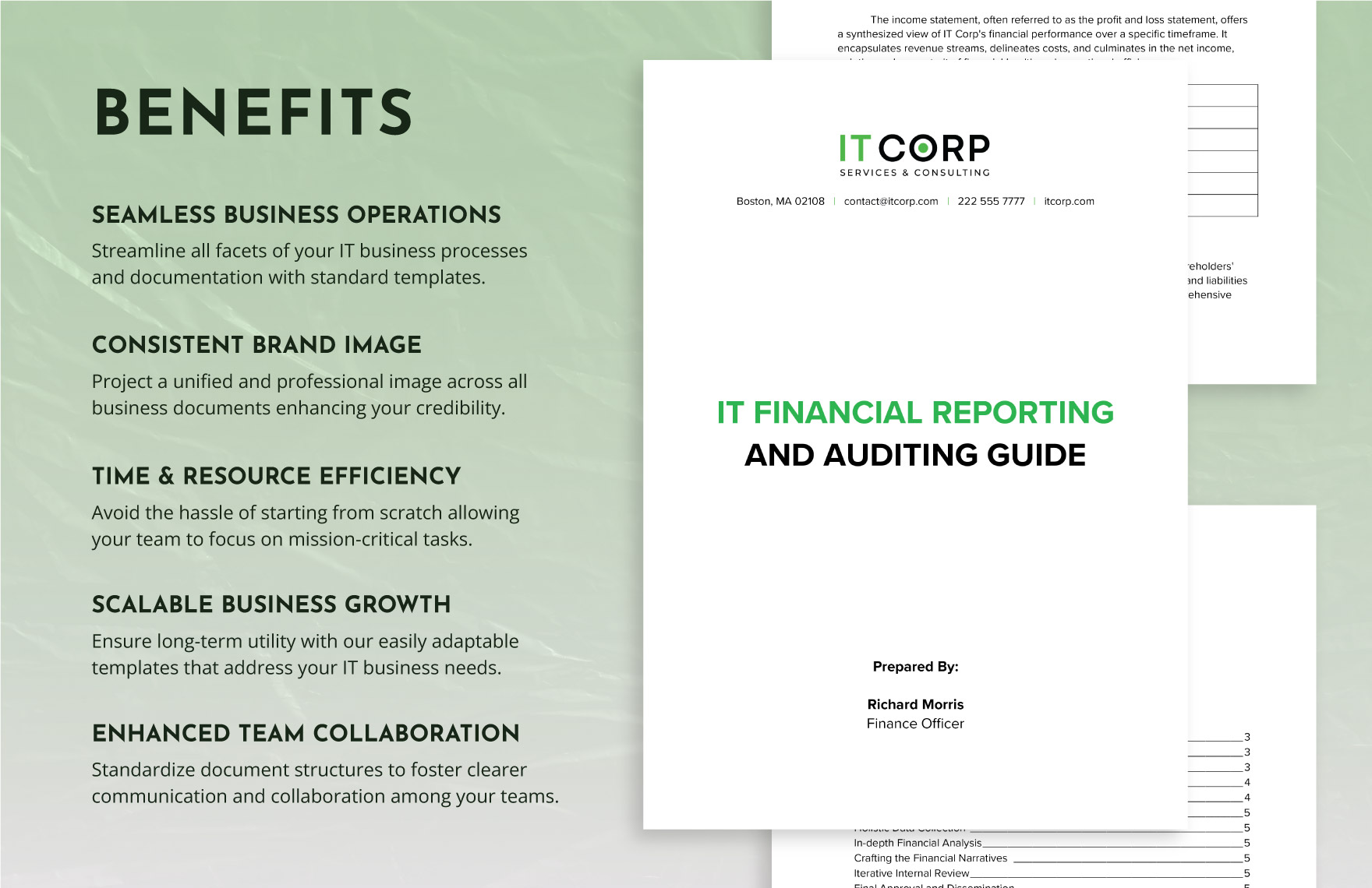 IT Financial Reporting and Auditing Guide Template