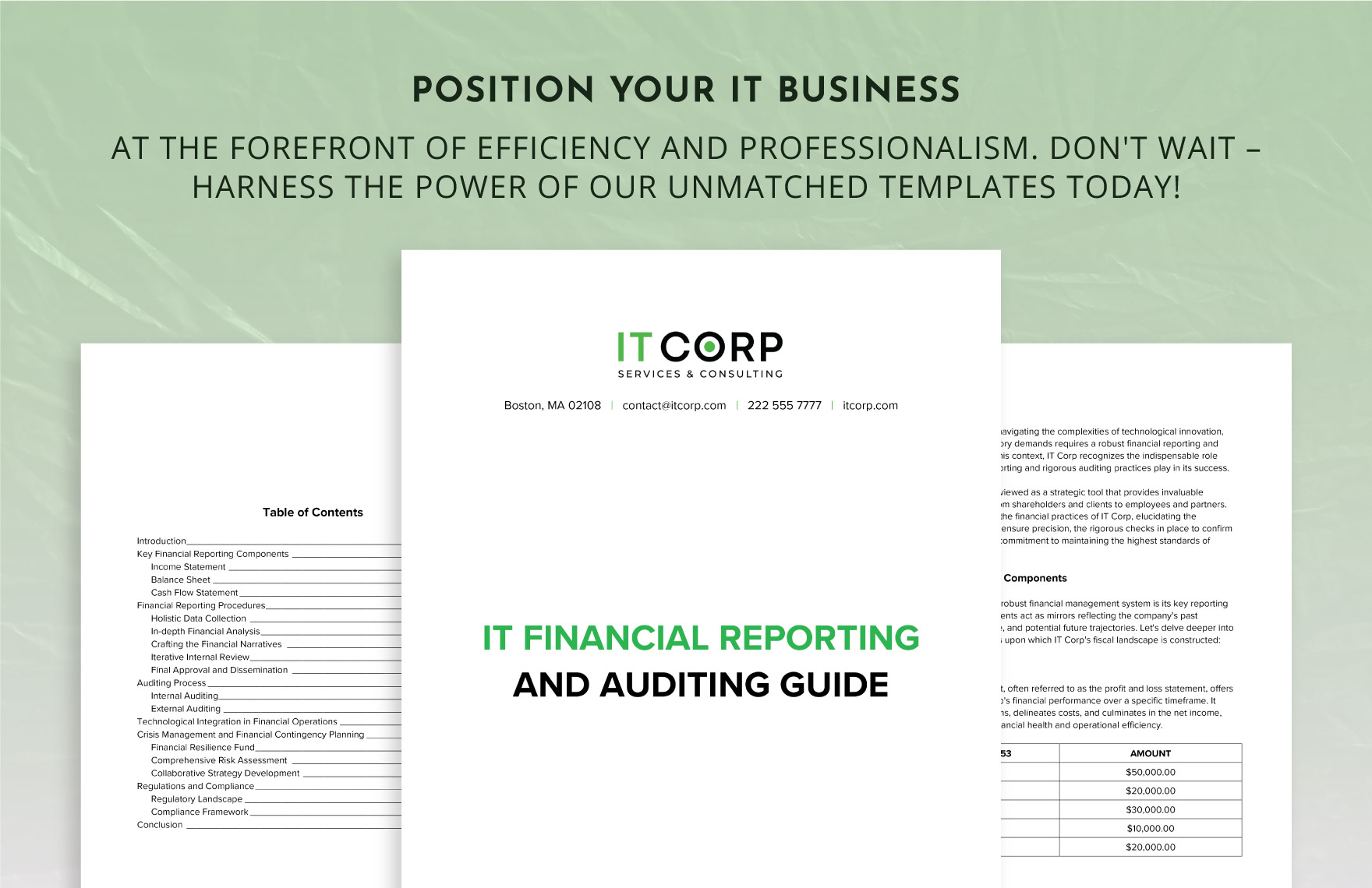 IT Financial Reporting and Auditing Guide Template