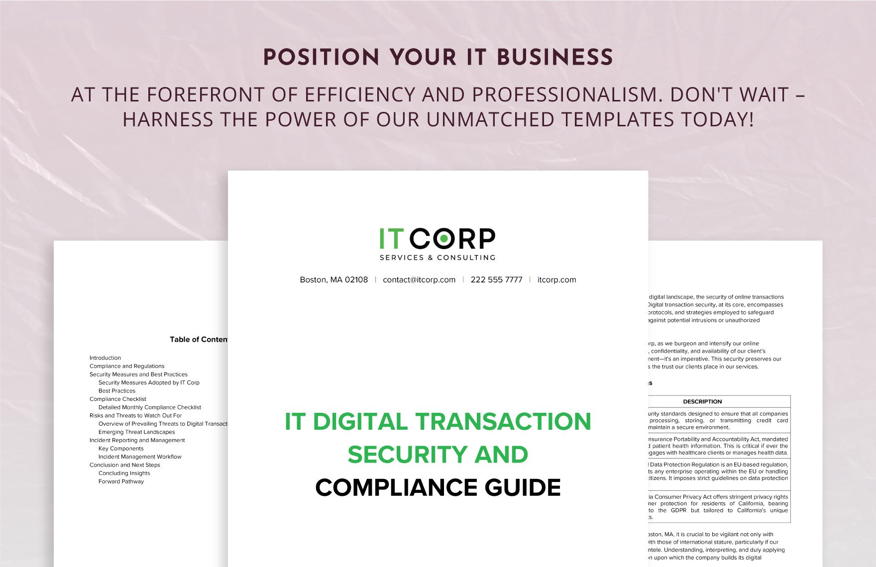 IT Digital Transaction Security and Compliance Guide Template