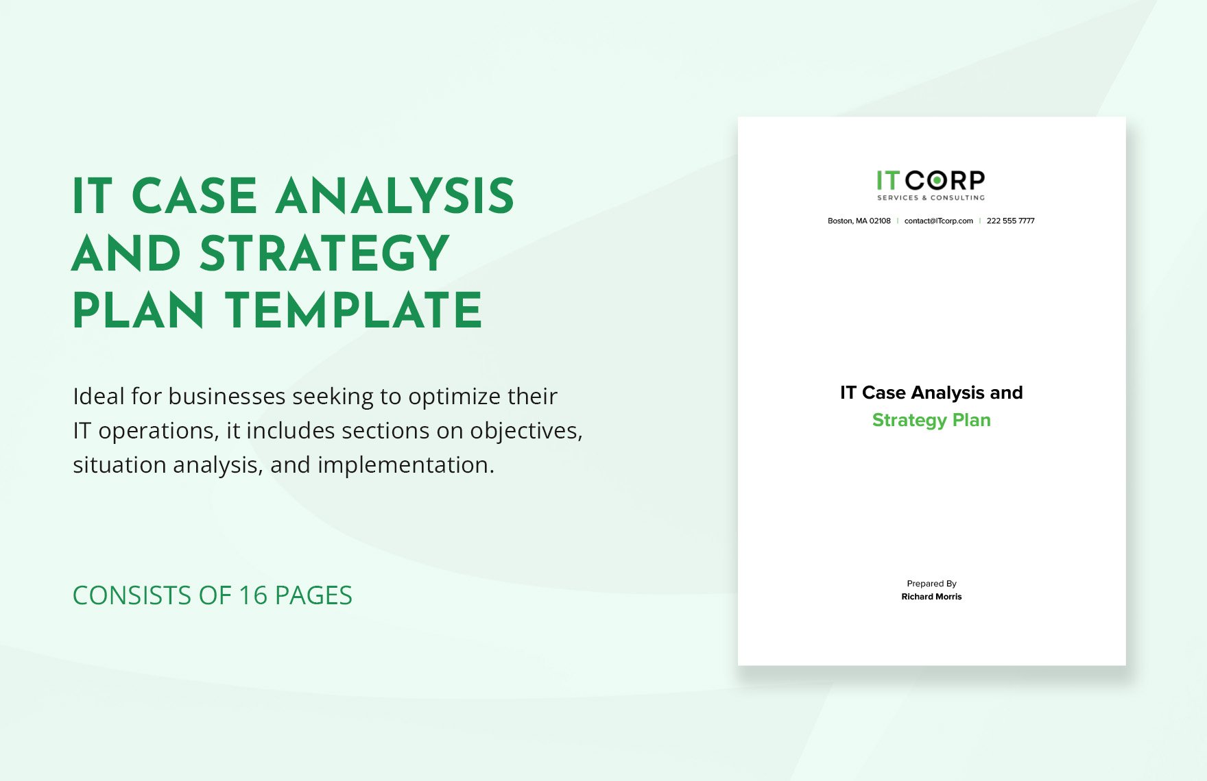 IT Case Analysis and Strategy Plan Template