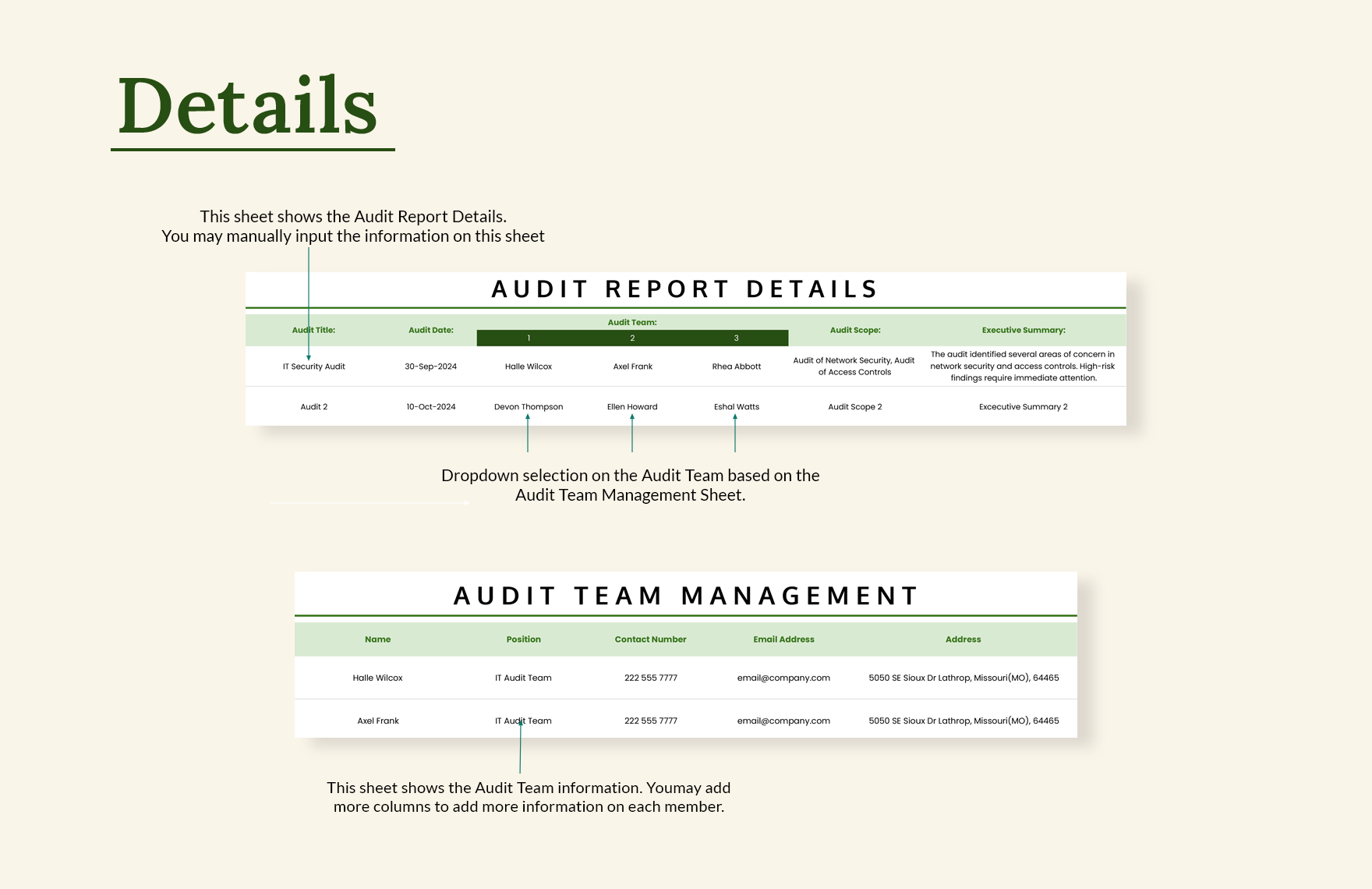 IT Internal Audit Report Sheet Template