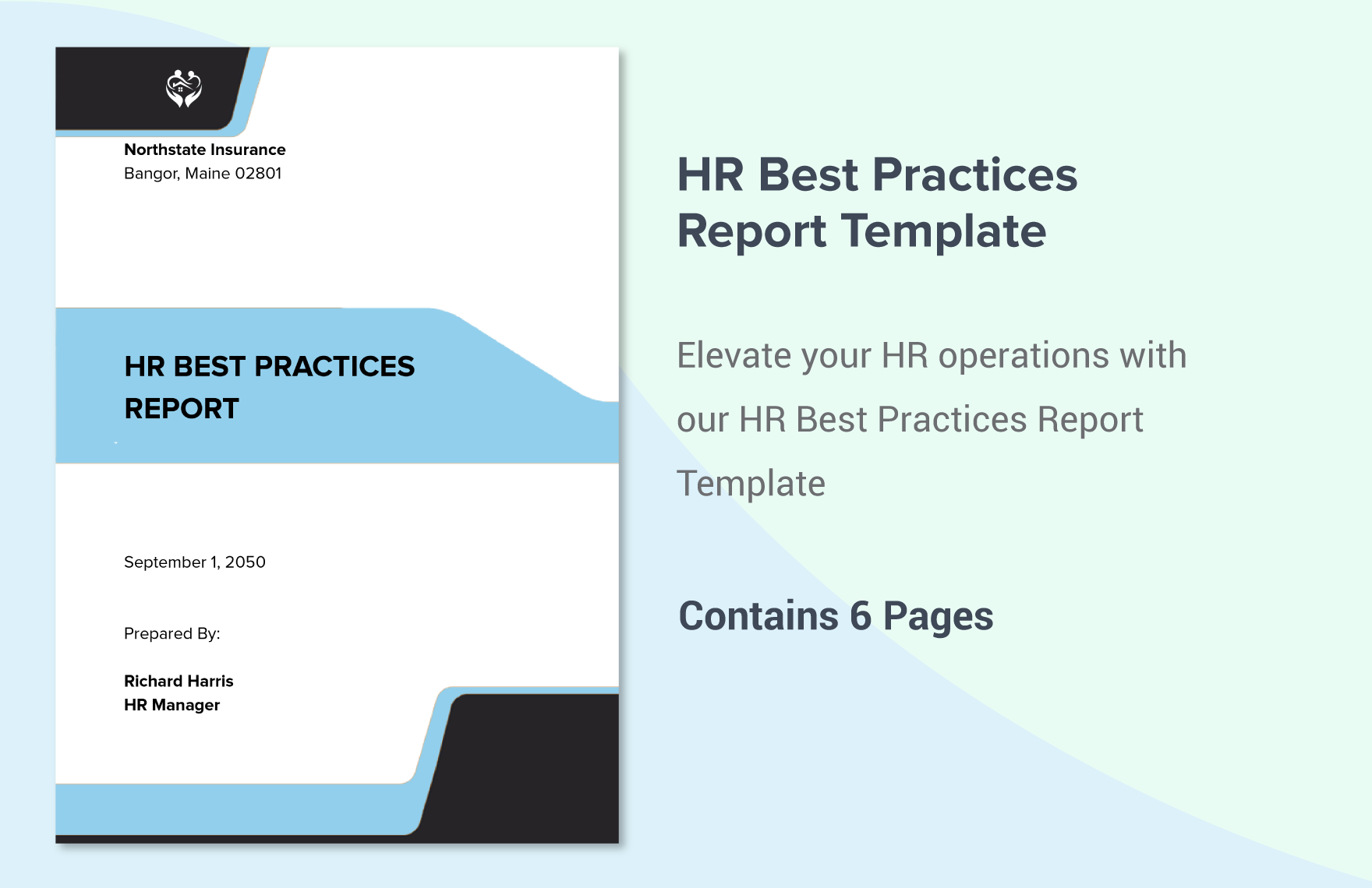 HR Best Practices Report Template