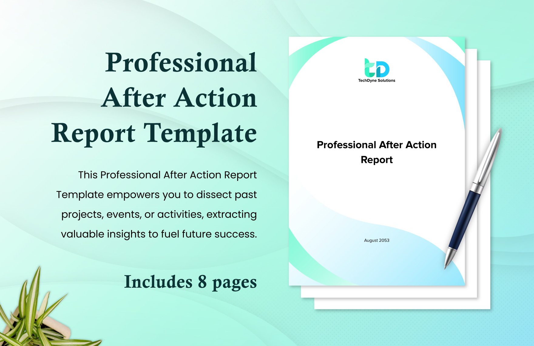 Professional After Action Report Template