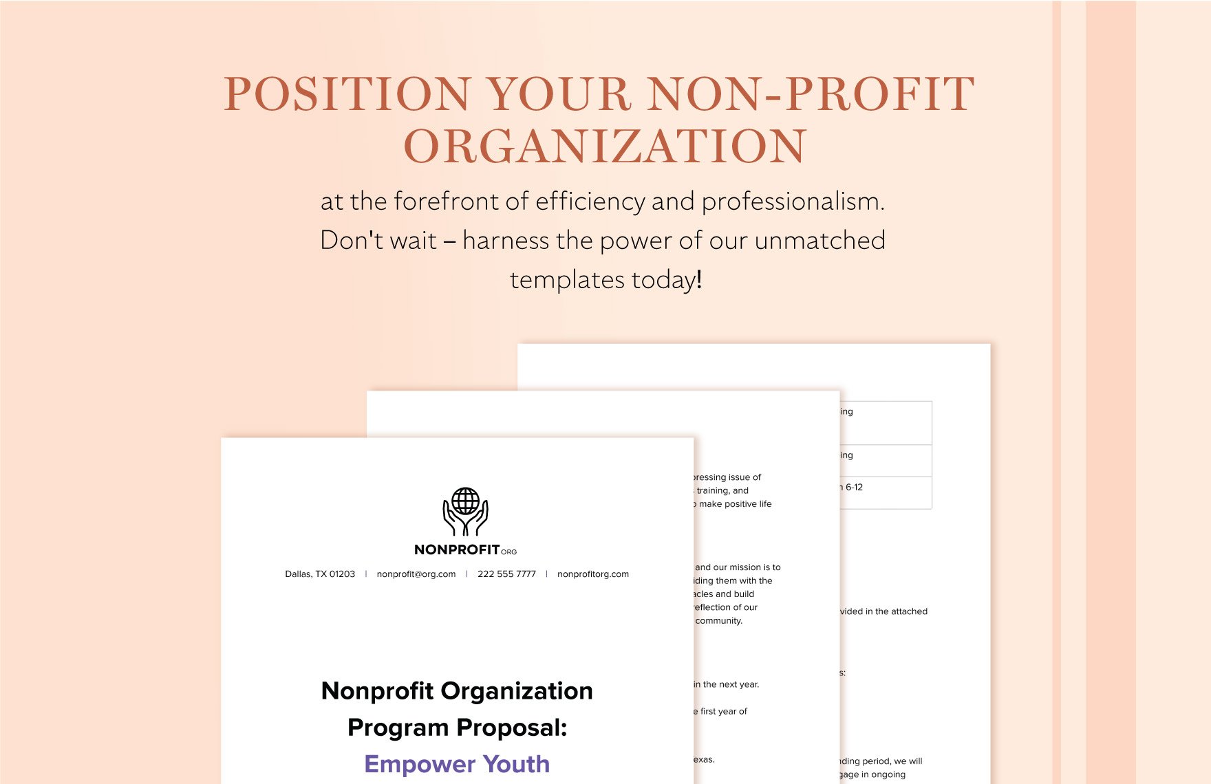 Nonprofit Organization Program Proposal Template