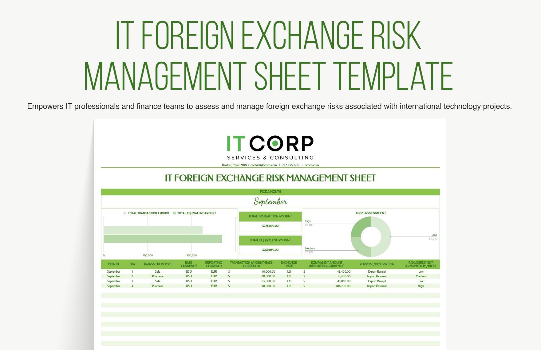 IT Foreign Exchange Risk Management Sheet Template in Excel, Google Sheets