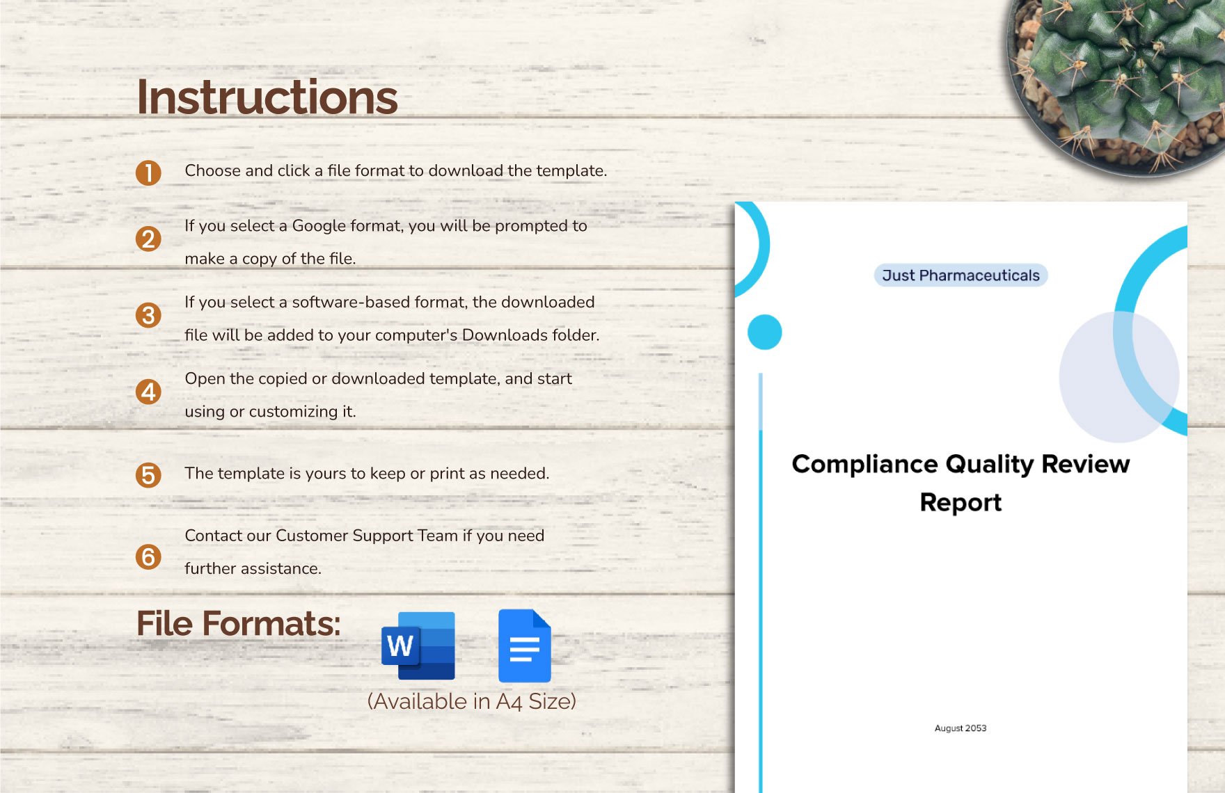 Compliance Quality Review Report Template
