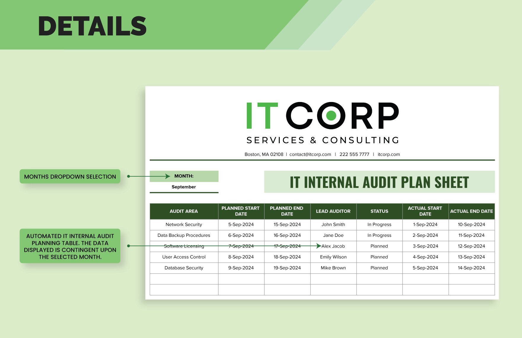 IT Internal Audit Plan Sheet Template