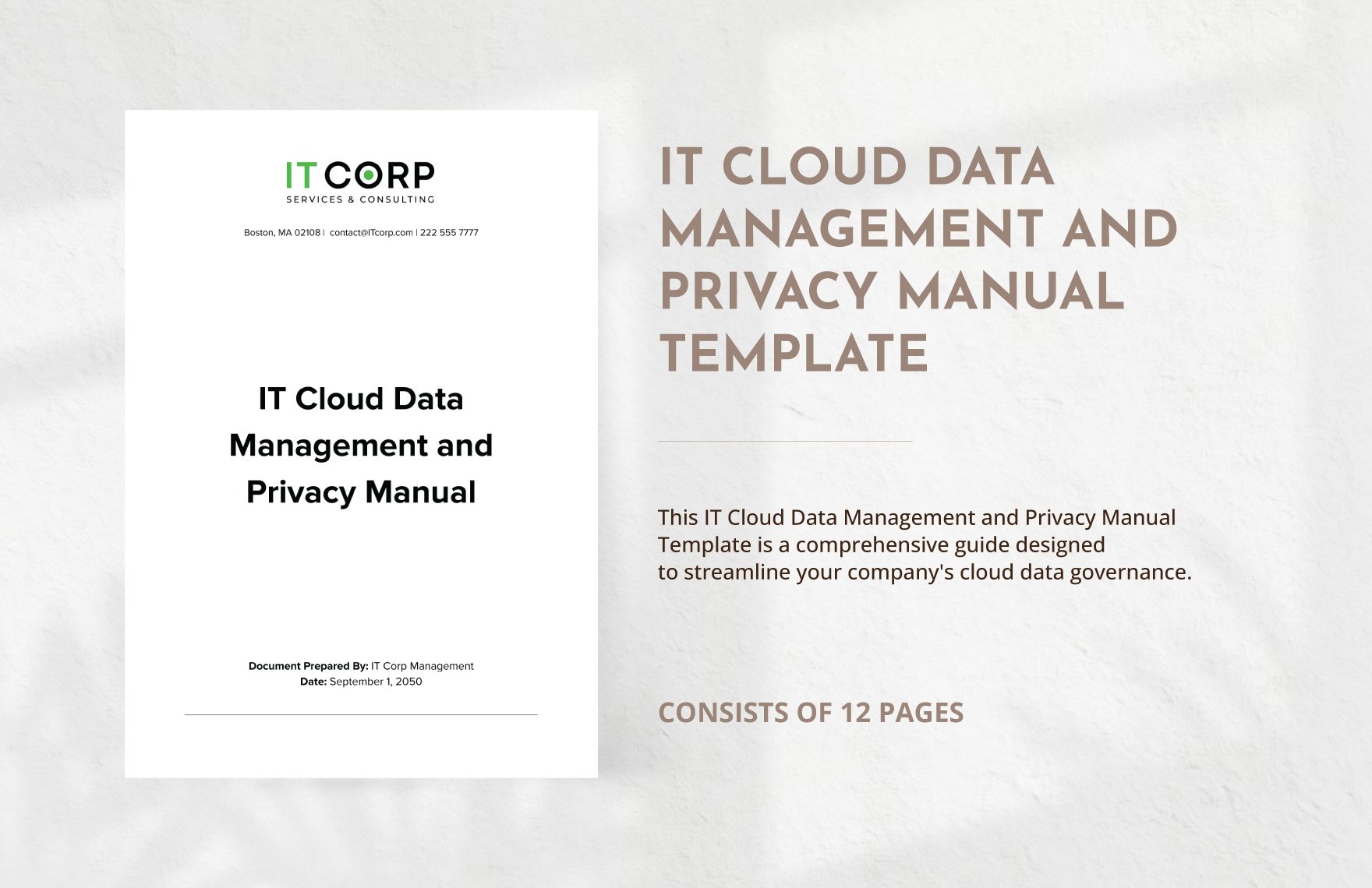 IT Cloud Data Management and Privacy Manual Template in Word, Google Docs, PDF