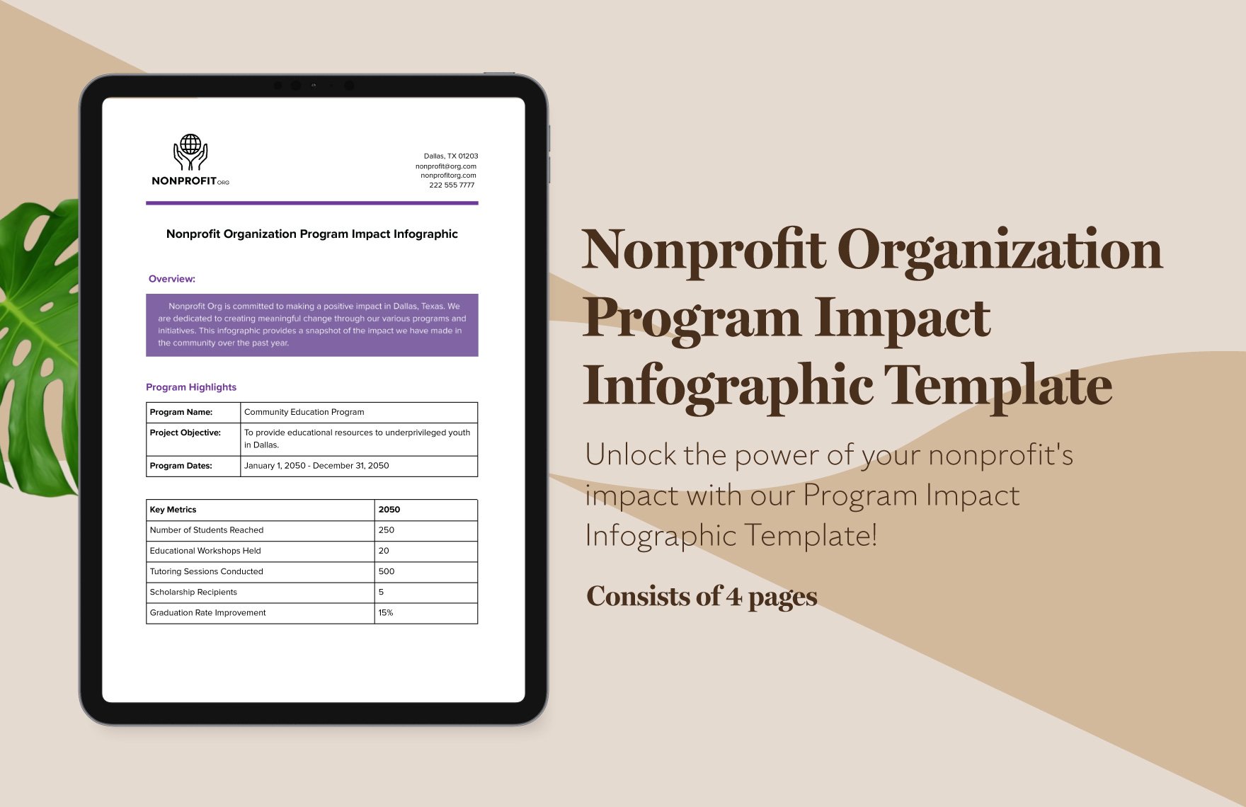 Nonprofit Organization Program Impact Infographic Template