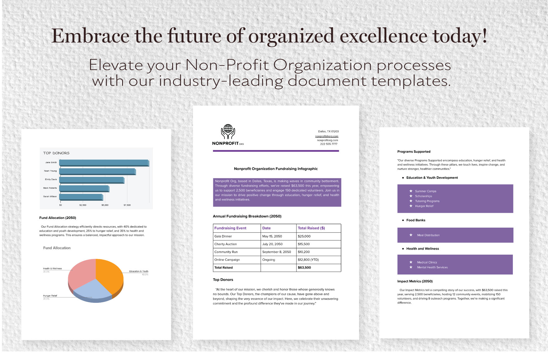 Nonprofit Organization Fundraising Infographic Template