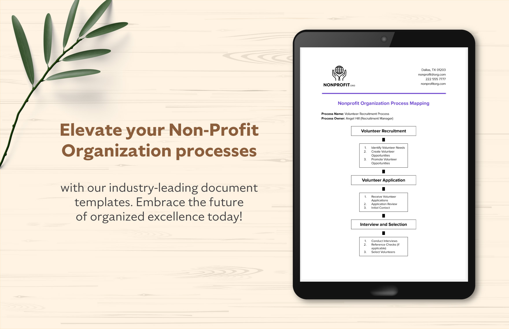 Nonprofit Organization Process Mapping Template