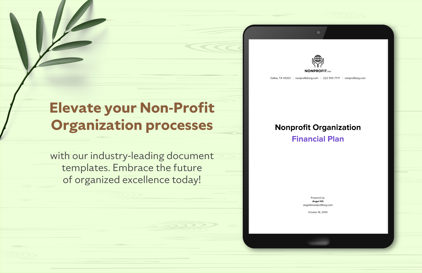 Nonprofit Organization Financial Plan Template