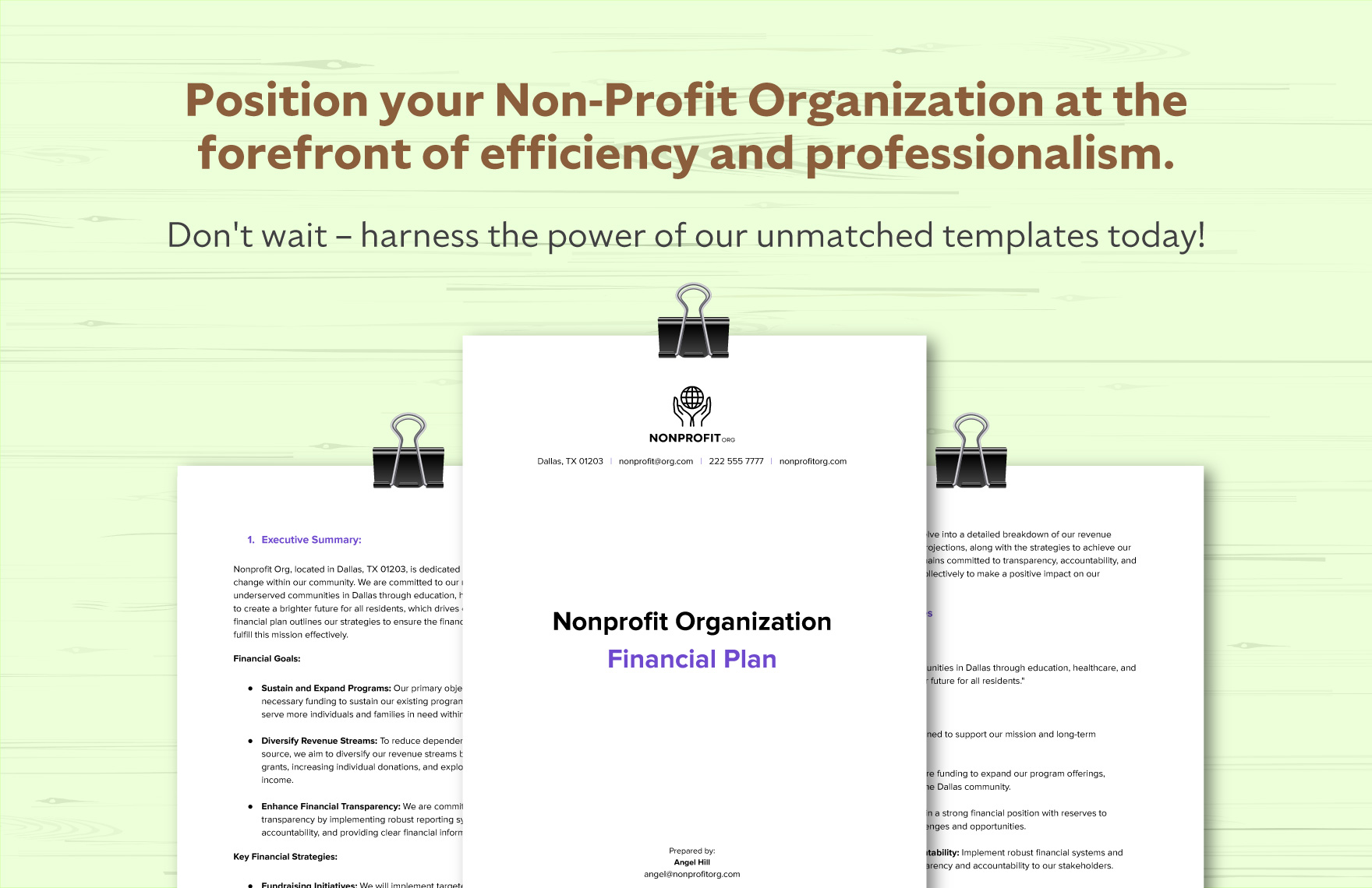Nonprofit Organization Financial Plan Template