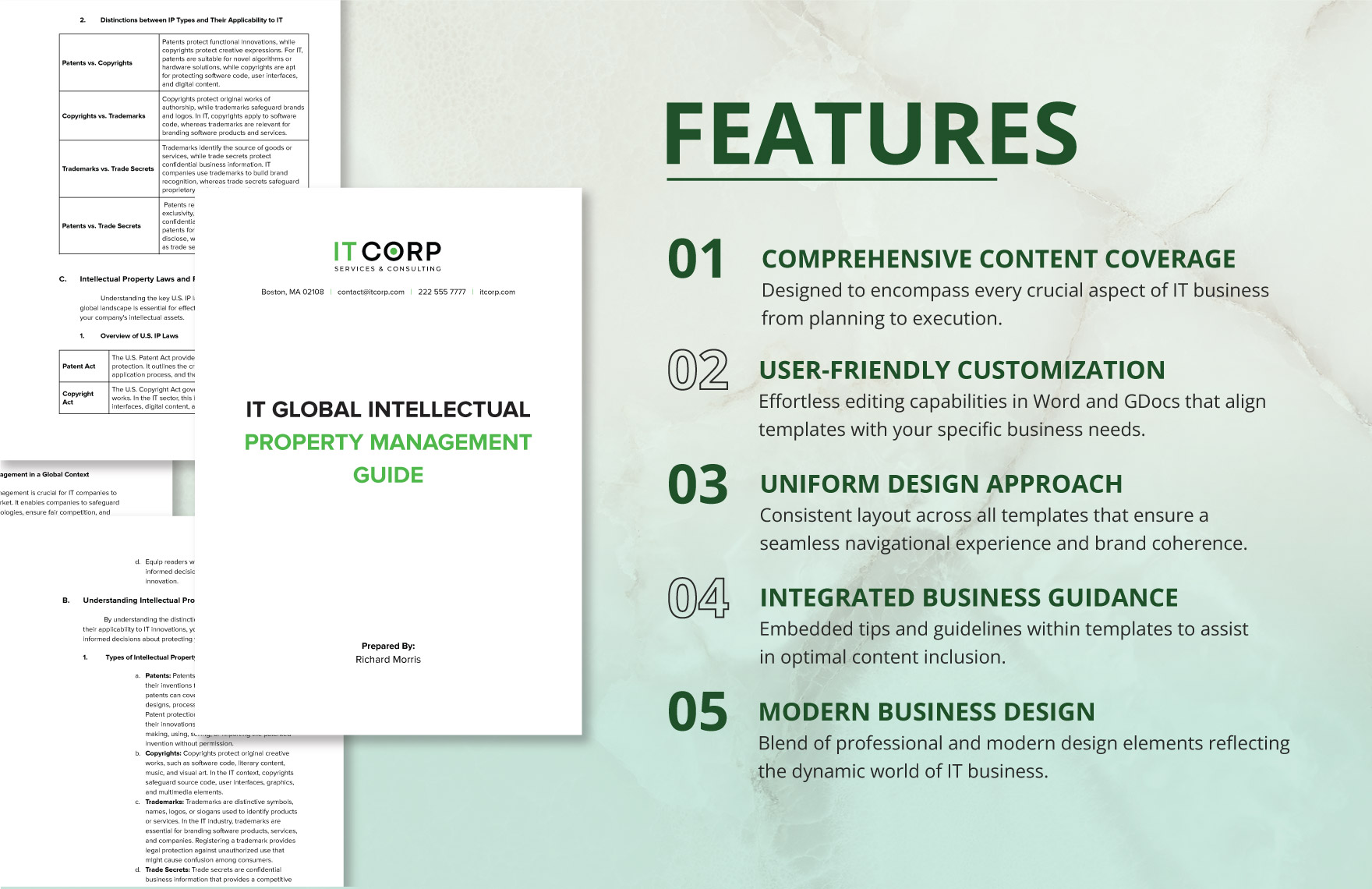 IT Global Intellectual Property Management Guide Template