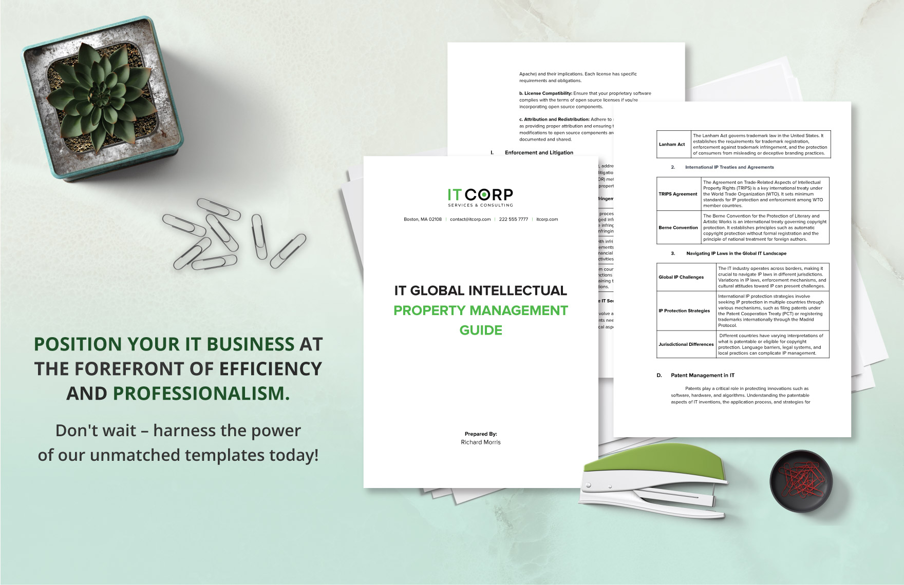 IT Global Intellectual Property Management Guide Template