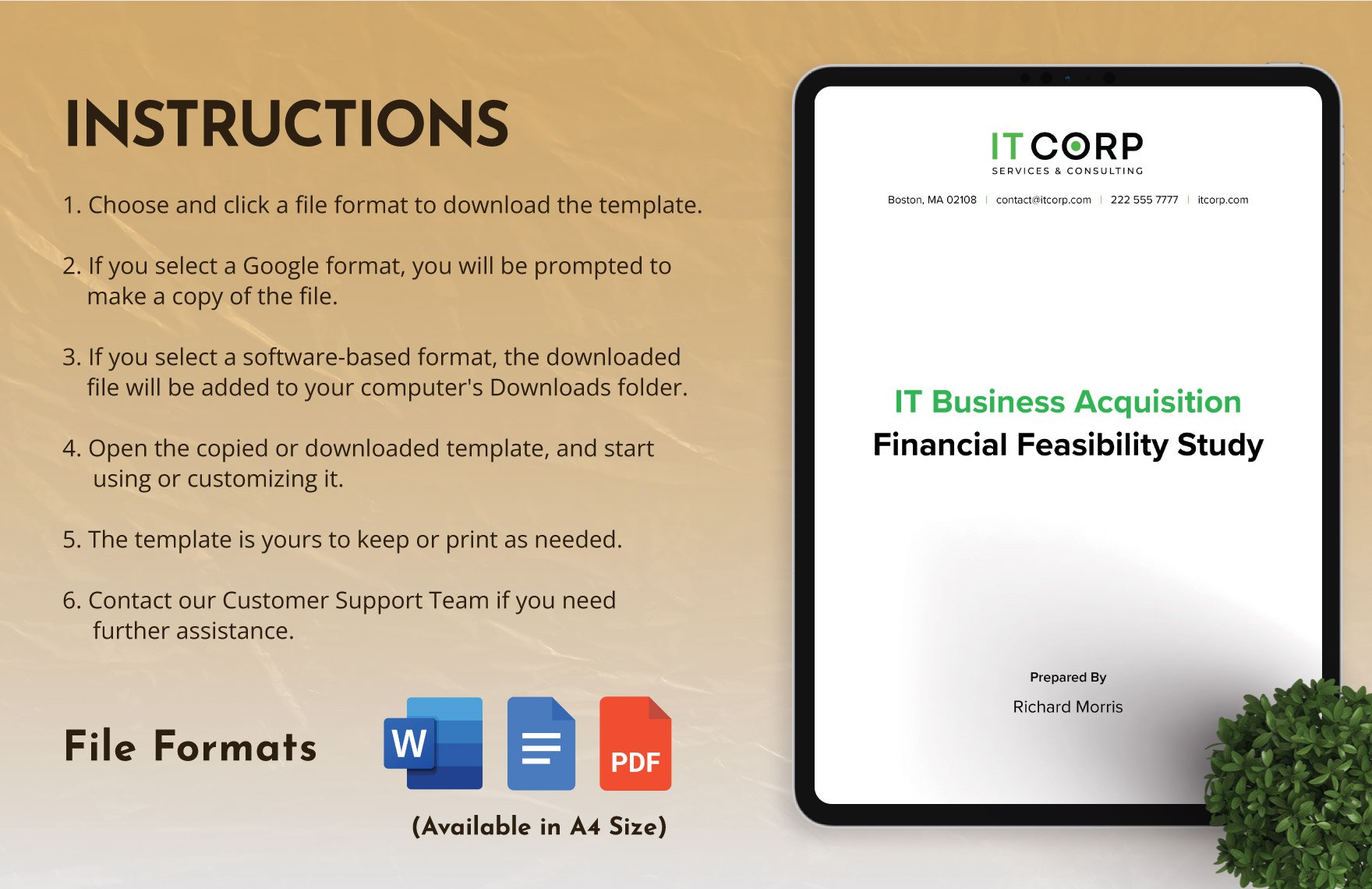 IT Business Acquisition Financial Feasibility Study Template