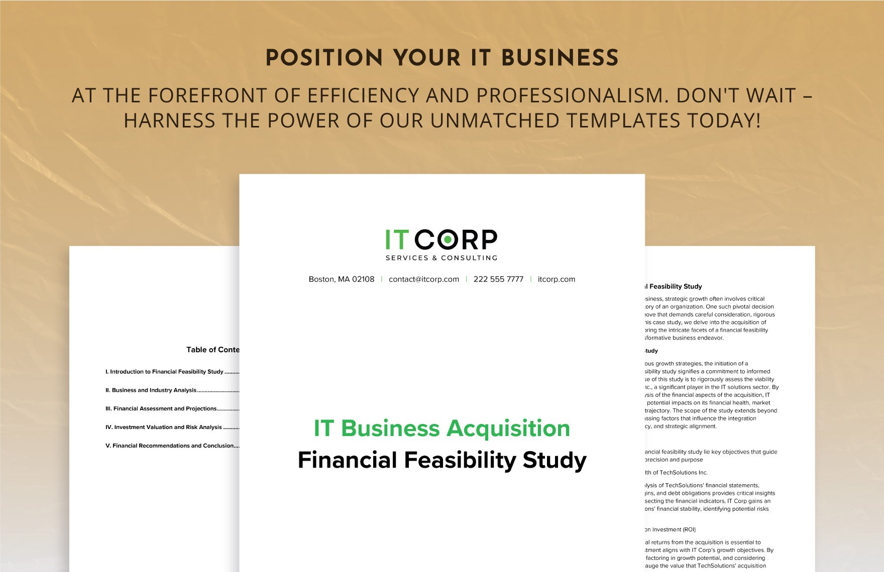 IT Business Acquisition Financial Feasibility Study Template
