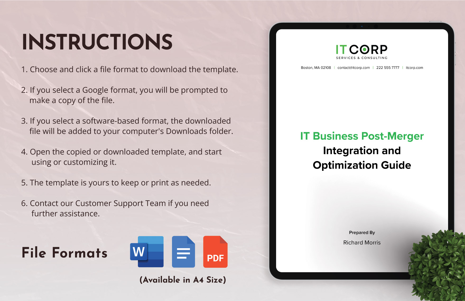 IT Business Post-Merger Integration and Optimization Guide Template