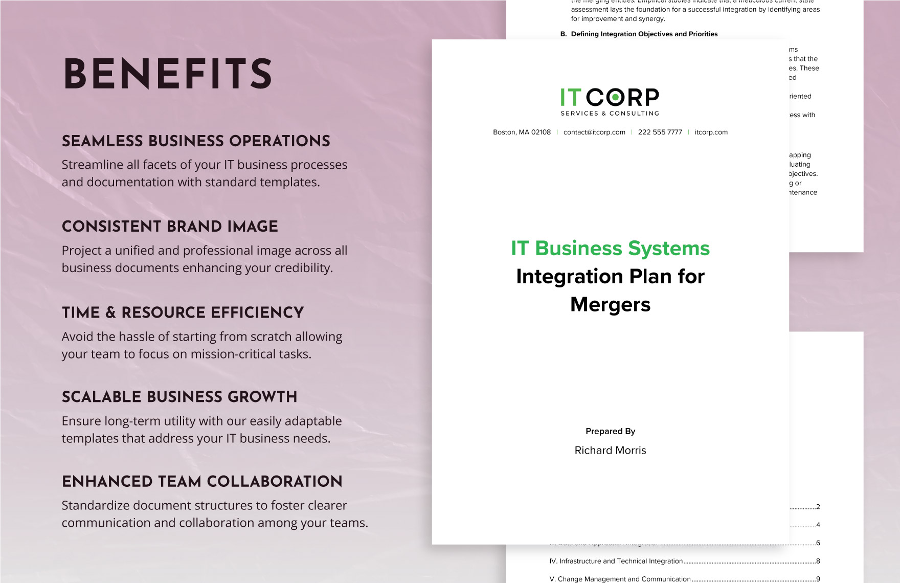 IT Business Systems Integration Plan for Mergers Template