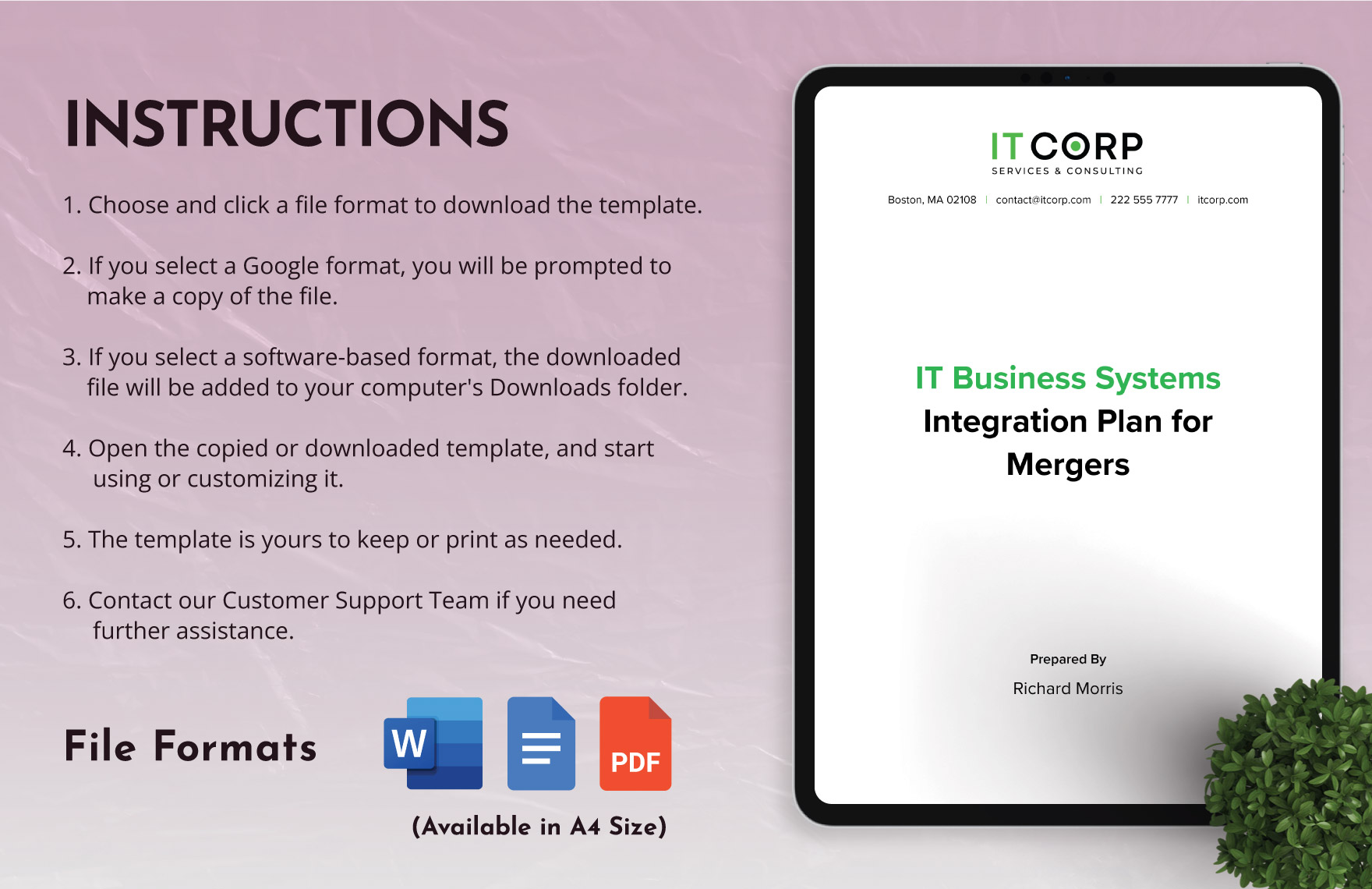 IT Business Systems Integration Plan for Mergers Template