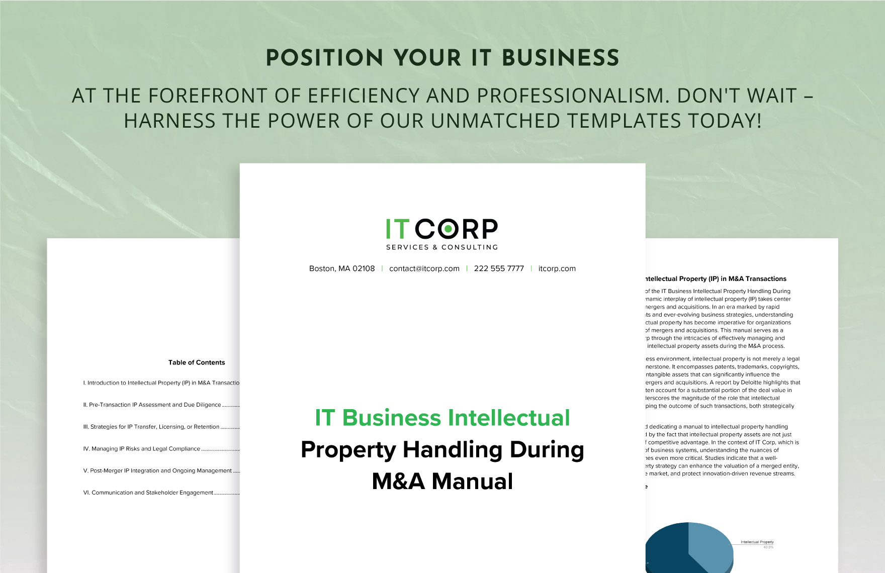 IT Business Intellectual Property Handling During M&A Manual Template