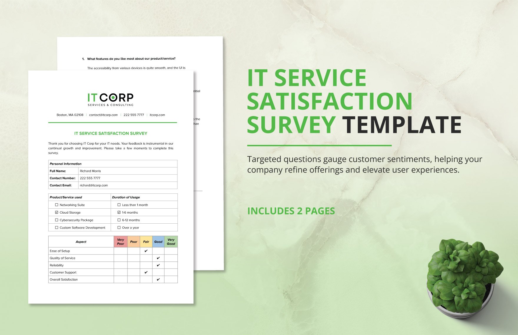 IT Service Satisfaction Survey Template