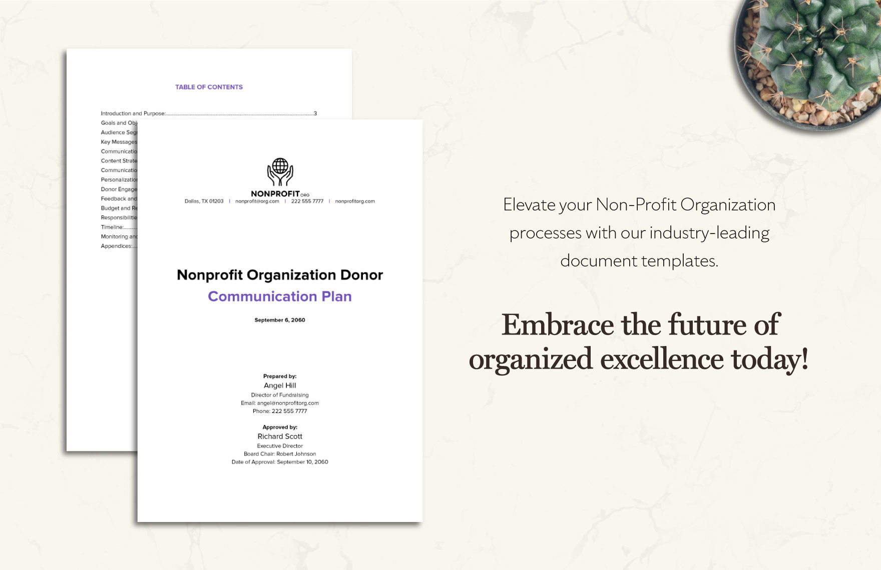 Nonprofit Organization Donor Communication Plan Template
