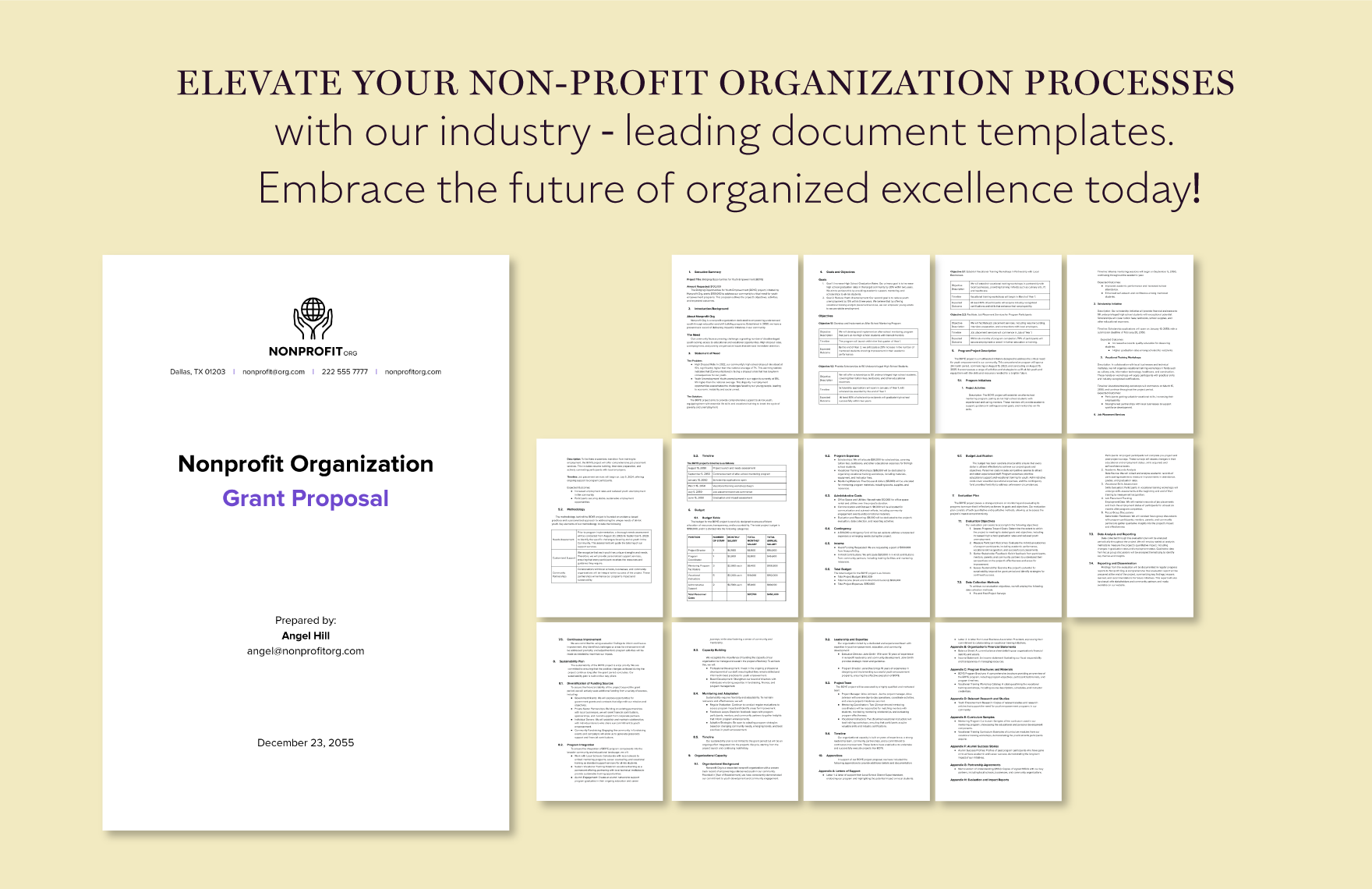 Nonprofit Organization  Grant Proposal Template