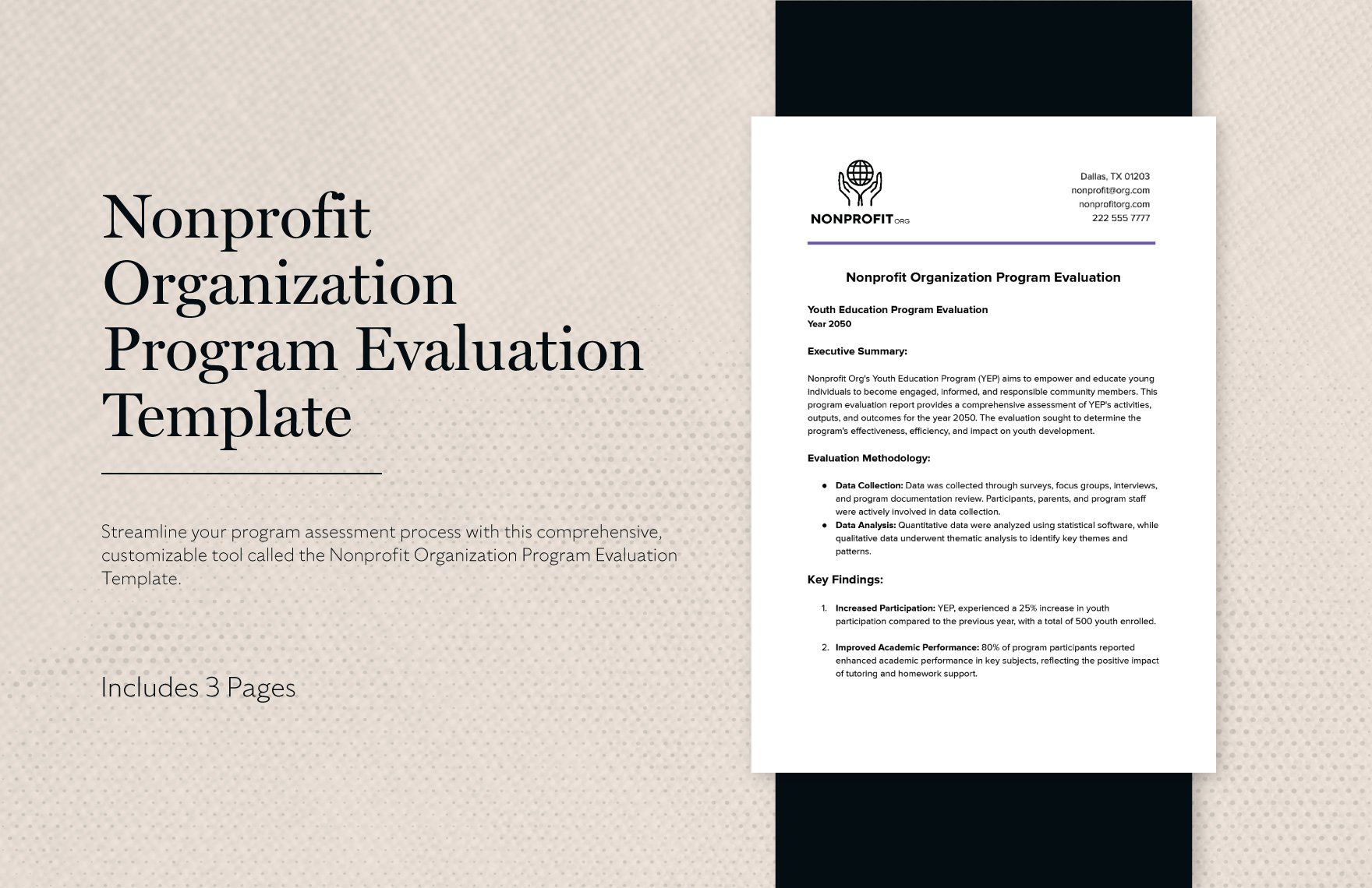 Nonprofit Organization Program Evaluation Template