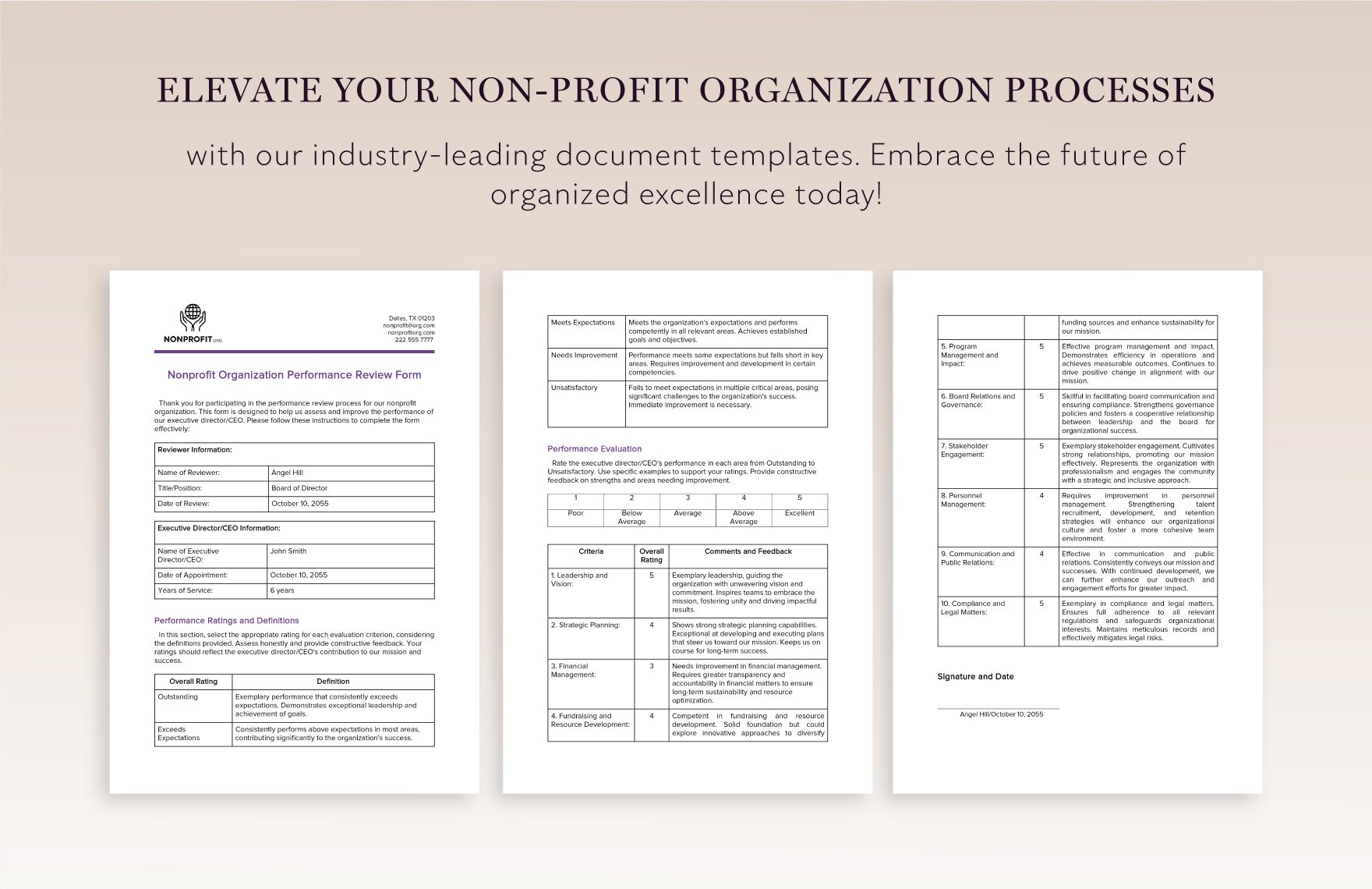 Nonprofit Organization Performance Review Form Template