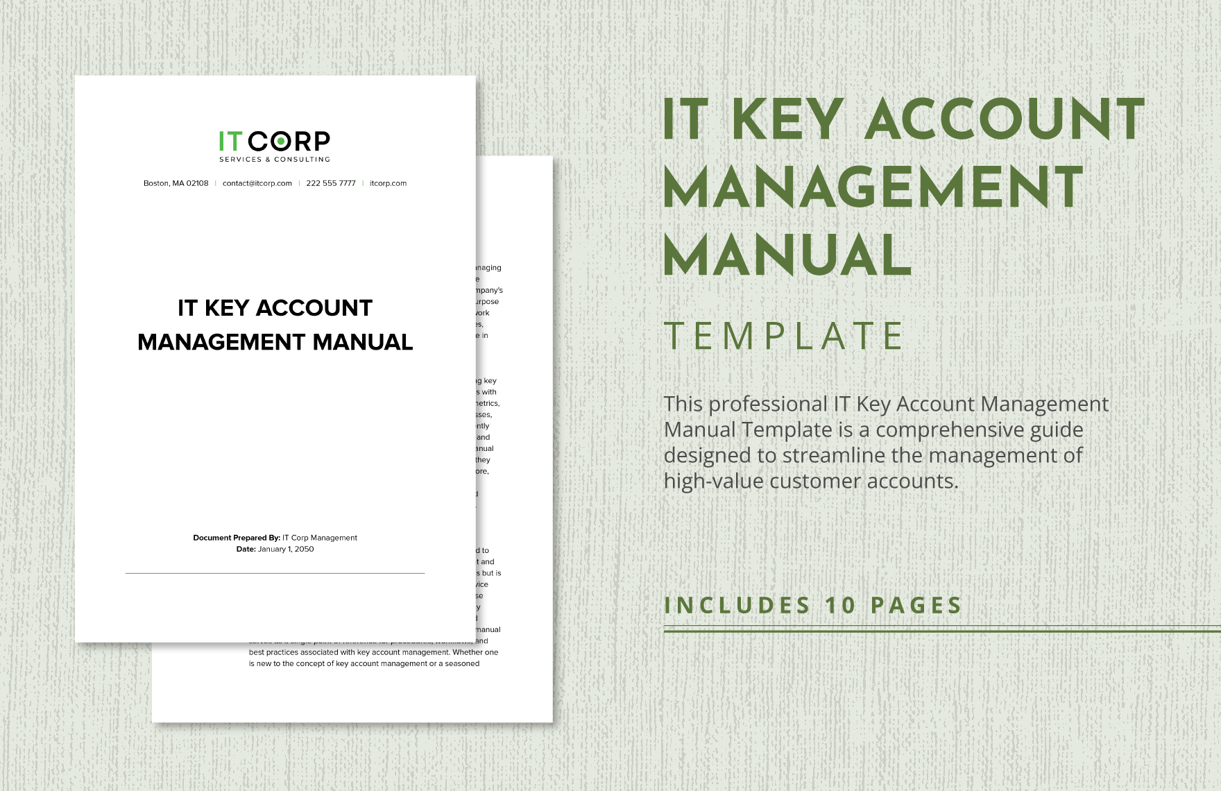 IT Key Account Management Manual Template in Word, Google Docs, PDF
