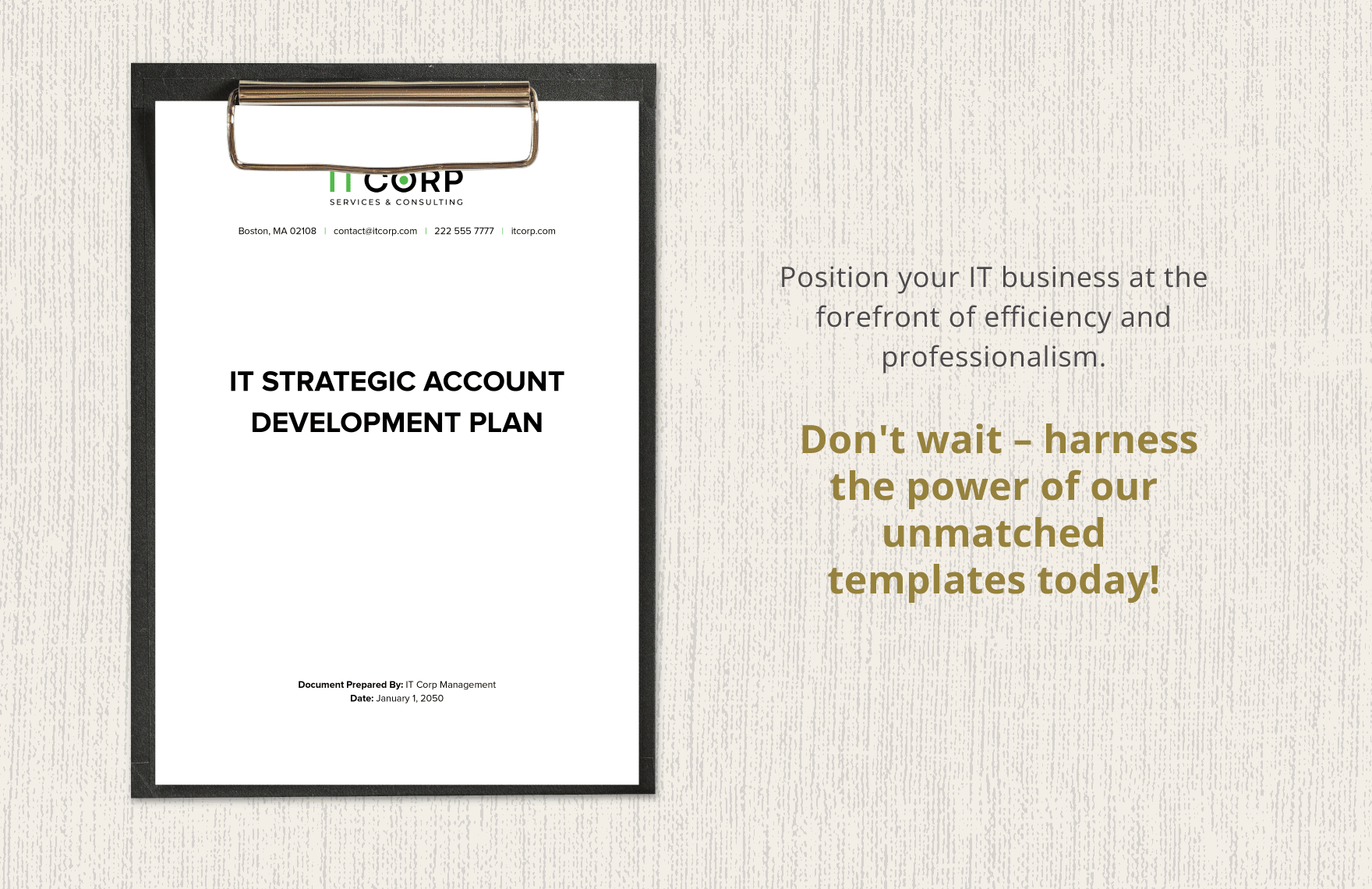 IT Strategic Account Development Plan Template